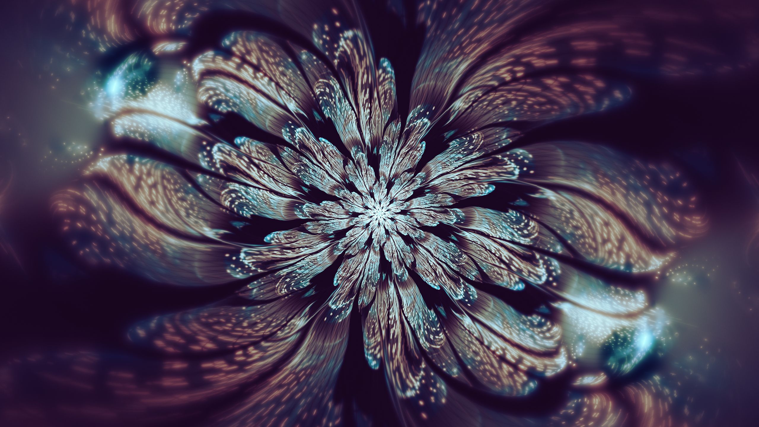 Download mobile wallpaper Abstract, Flower, Fractal for free.