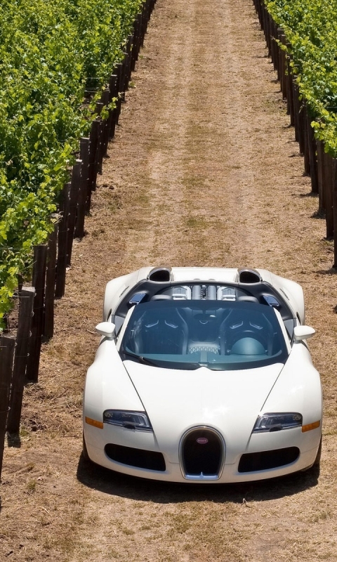 Descarga gratuita de fondo de pantalla para móvil de Bugatti, Viñedo, Vehículos, Italiano.