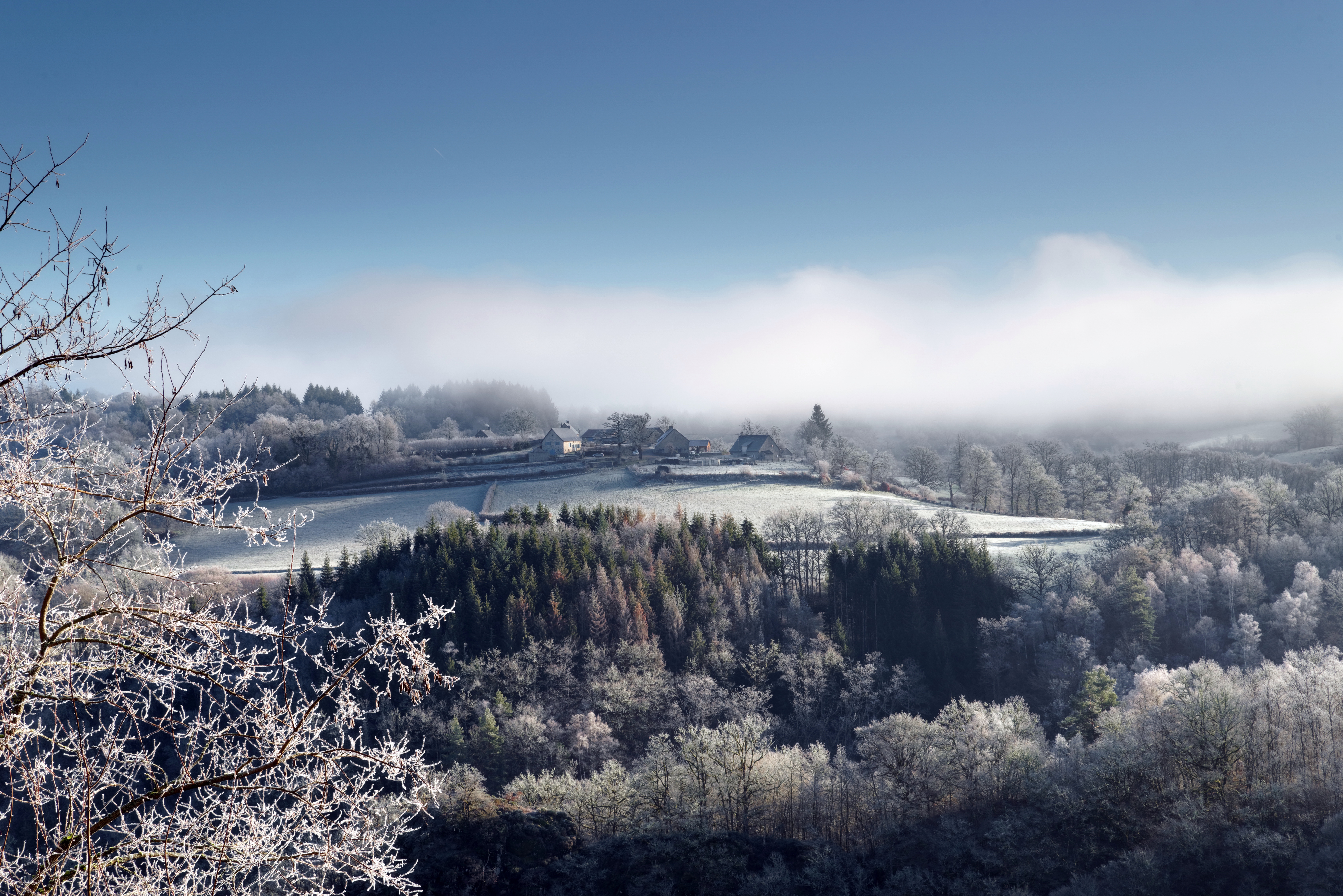 Скачати мобільні шпалери Пейзаж, Зима, Небо, Ліс, Франція, Фотографія безкоштовно.