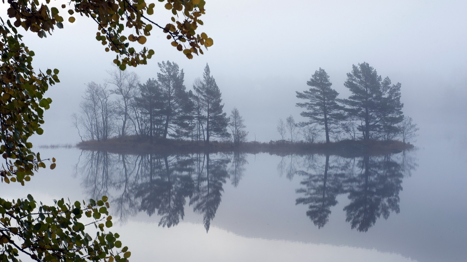 Descarga gratuita de fondo de pantalla para móvil de Tierra/naturaleza, Reflejo.