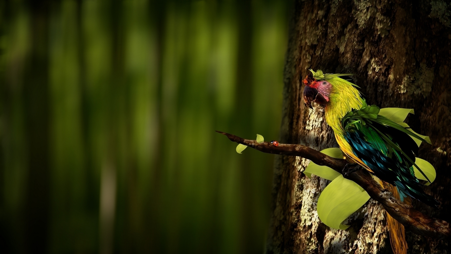 Download mobile wallpaper Macaw, Manipulation, Parrot, Colorful, Bird, Photography, Tree for free.