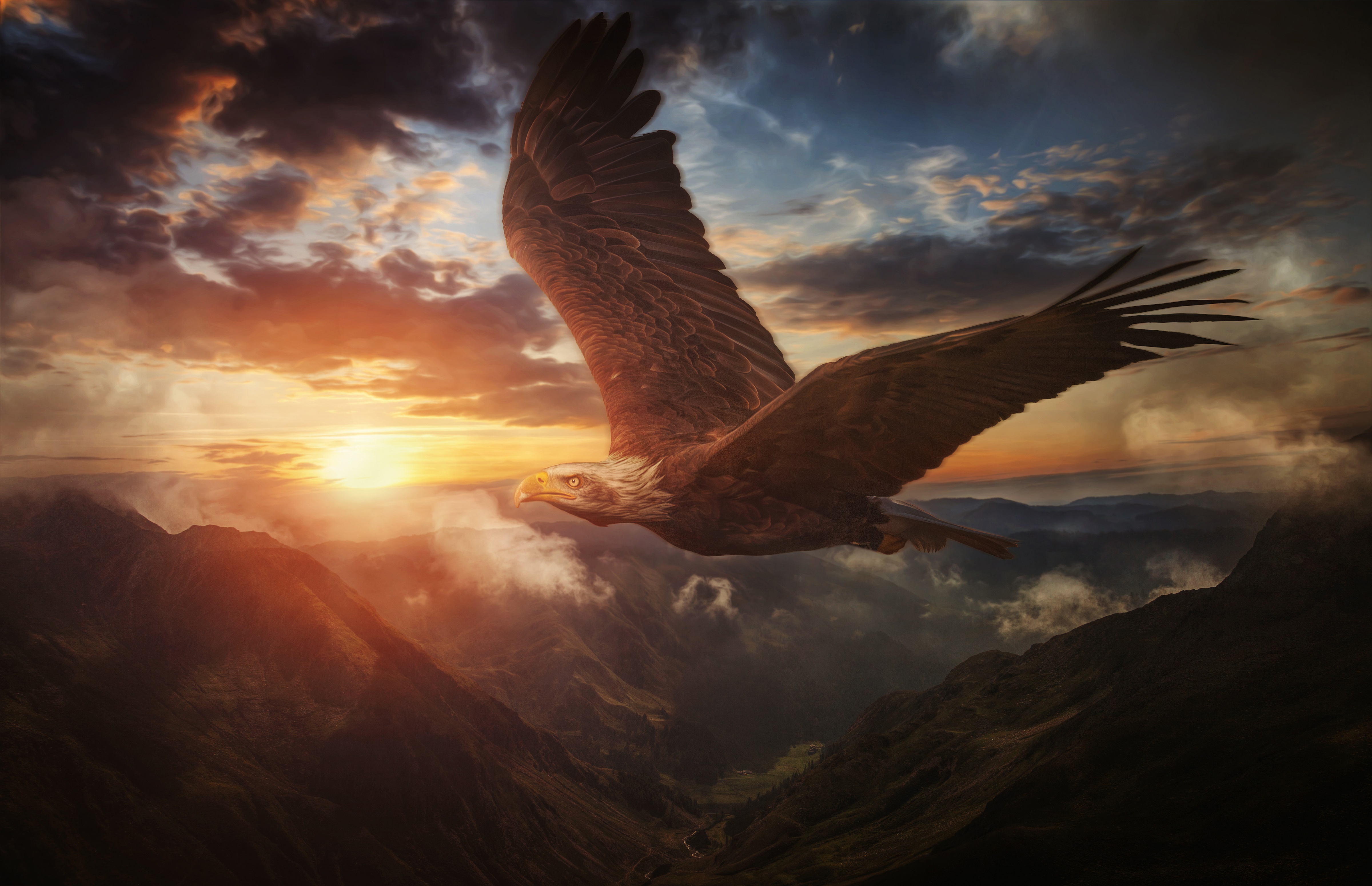 Free download wallpaper Birds, Sunset, Mountain, Bird, Animal, Bald Eagle, Bird Of Prey on your PC desktop