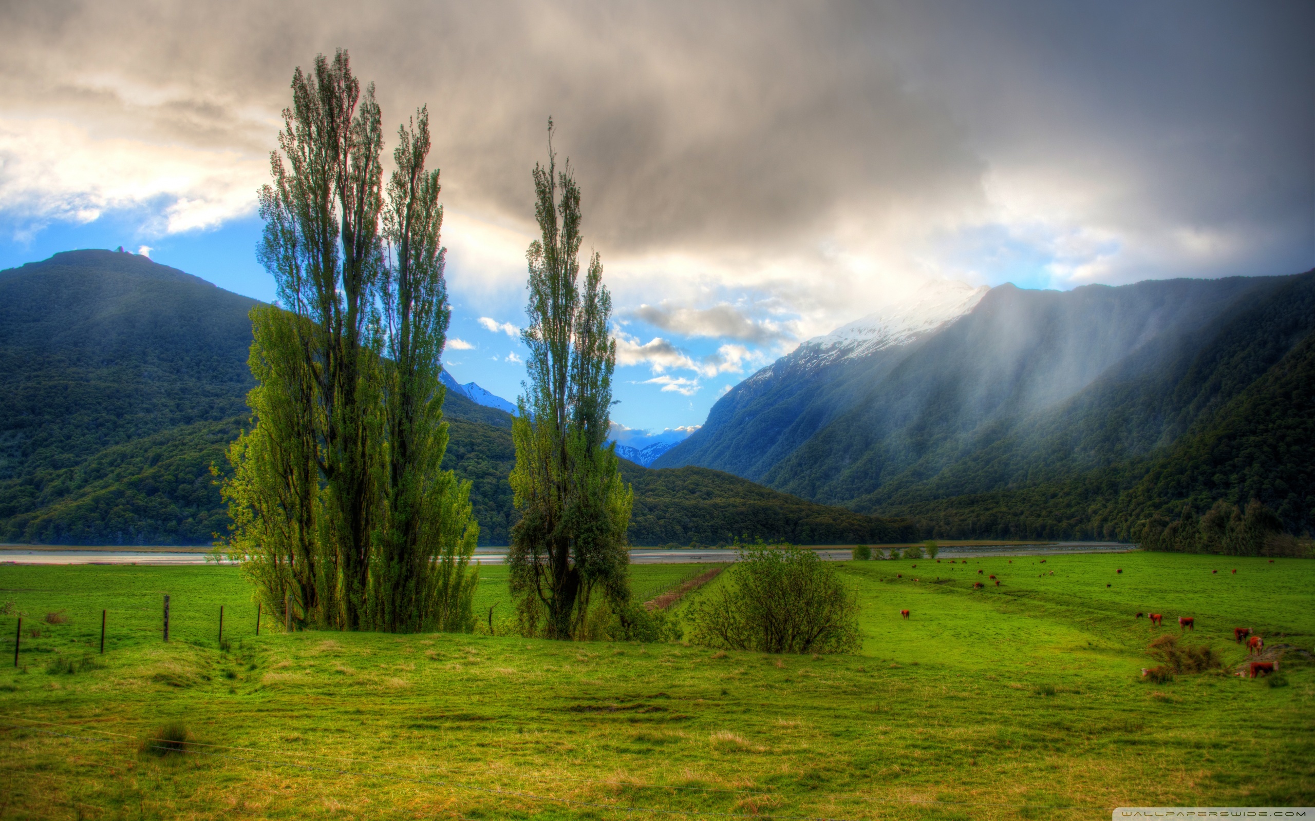 Free download wallpaper Landscape, Trees, Mountains, Clouds on your PC desktop