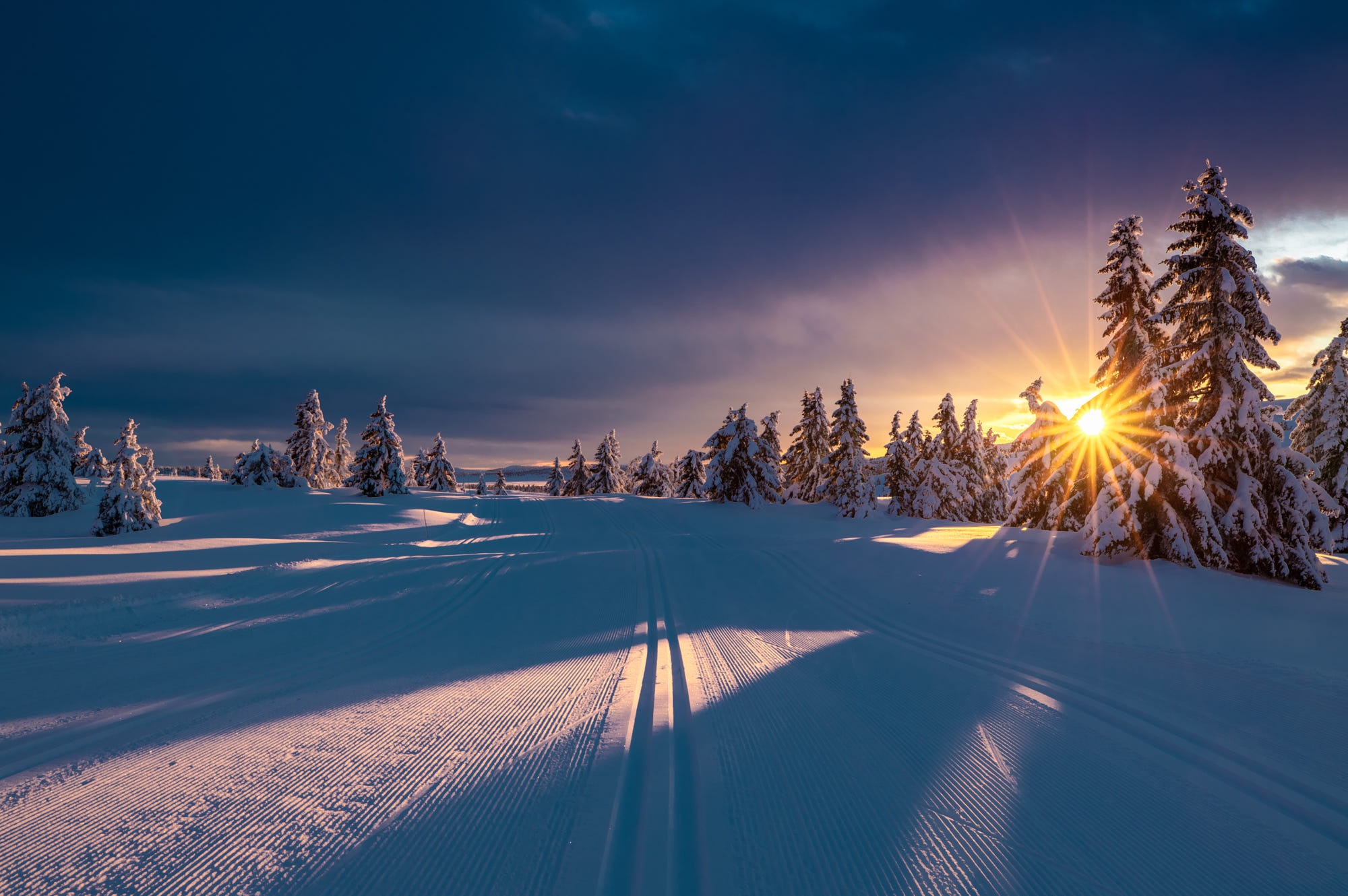 PCデスクトップに風景, 冬, 自然, 雪, 地球, サンビーム画像を無料でダウンロード