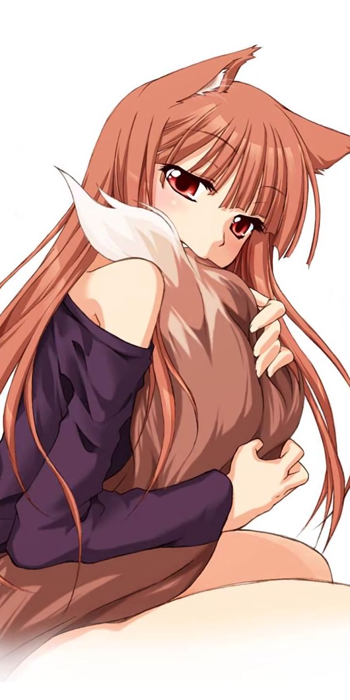 Download mobile wallpaper Anime, Tail, Red Eyes, Long Hair, Brown Hair, Holo (Spice & Wolf), Animal Ears, Spice And Wolf, Ookami To Koushinryou for free.