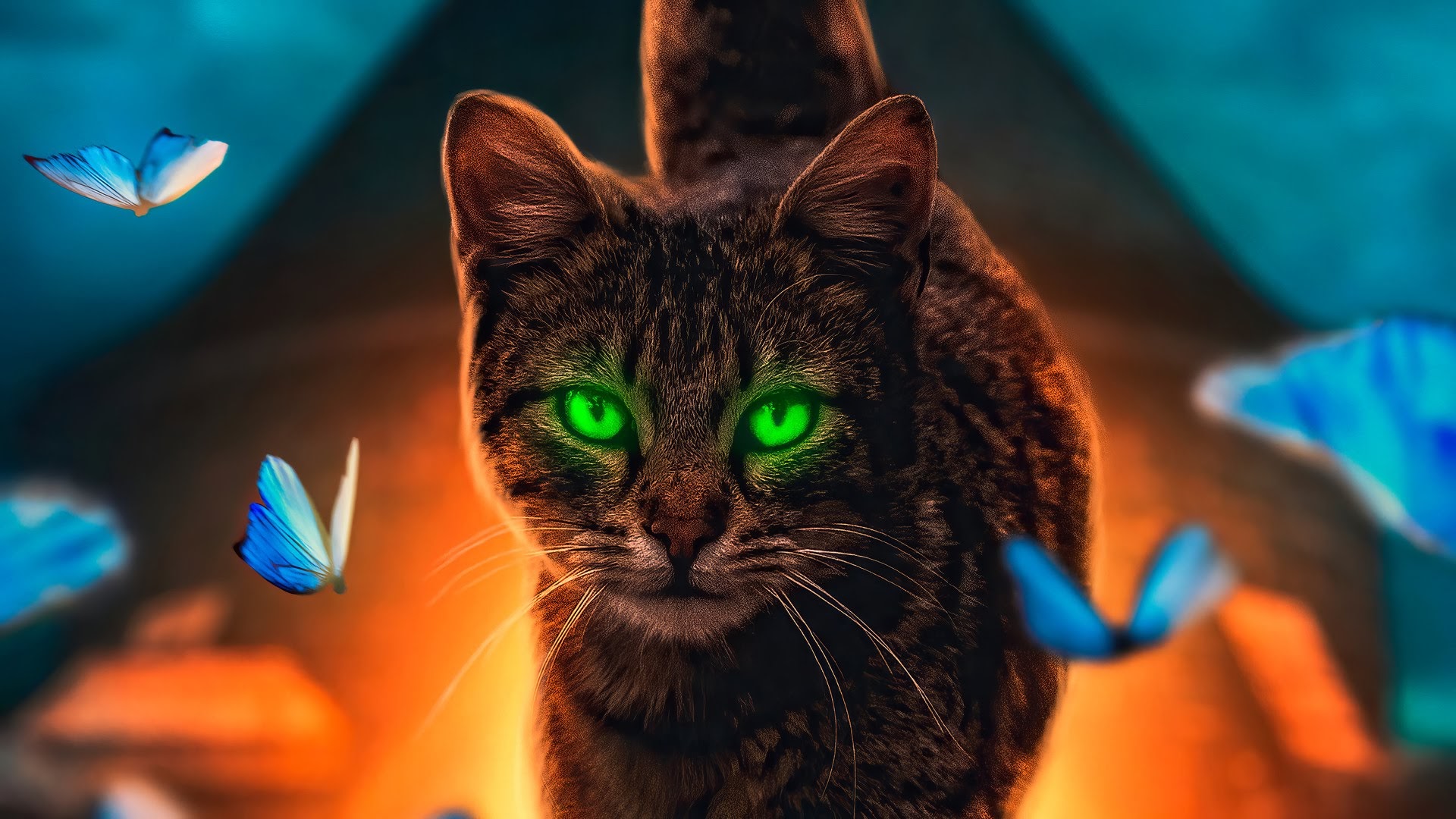 Download mobile wallpaper Cats, Cat, Neon, Butterfly, Animal, Green Eyes for free.