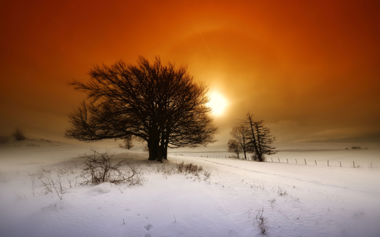 Descarga gratuita de fondo de pantalla para móvil de Amanecer, Tierra/naturaleza.