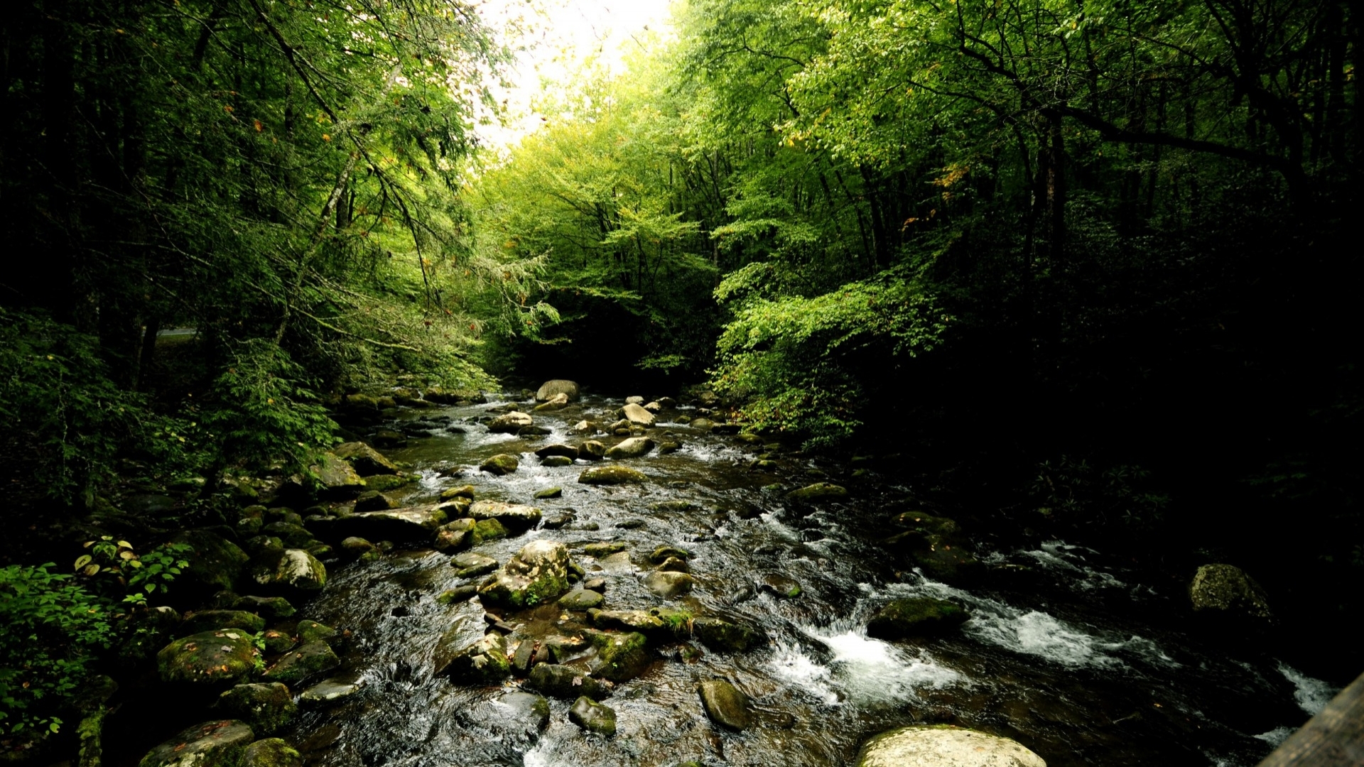 Download mobile wallpaper Nature, Forest, Earth, Stream for free.