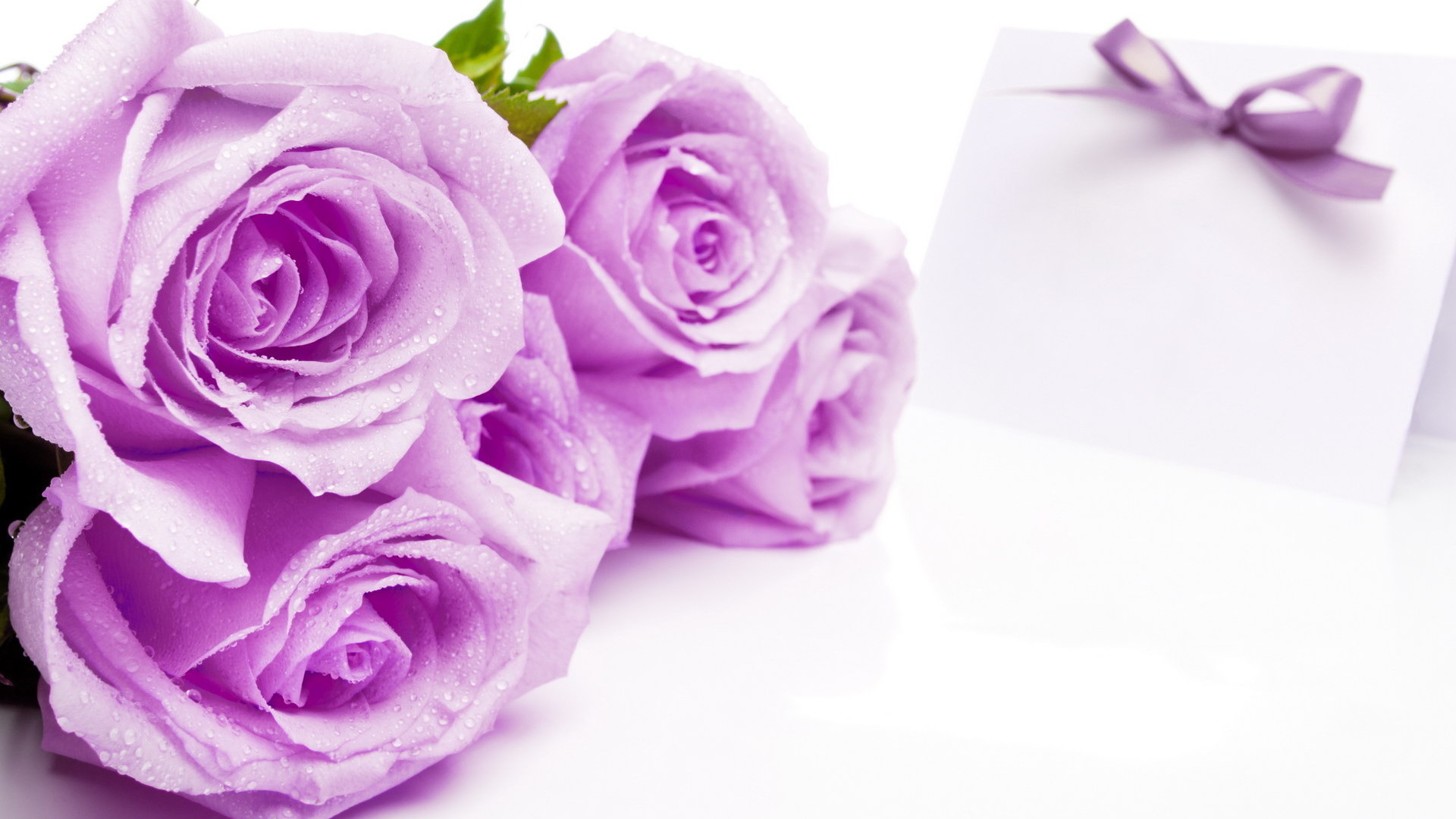 Téléchargez des papiers peints mobile Fêtes, Fleurs, Plantes, Roses gratuitement.