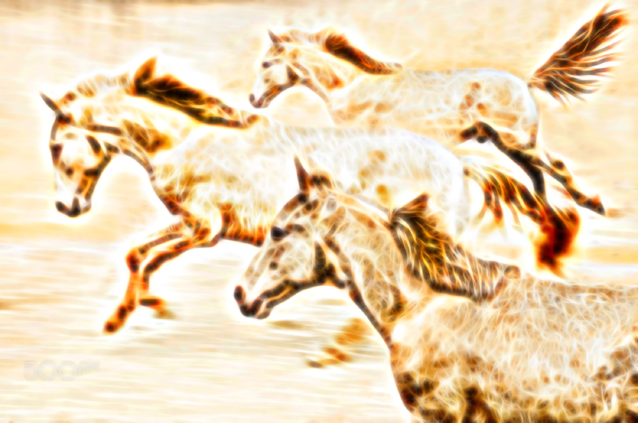 Скачати мобільні шпалери Фрактал, Тварина, Кінь безкоштовно.