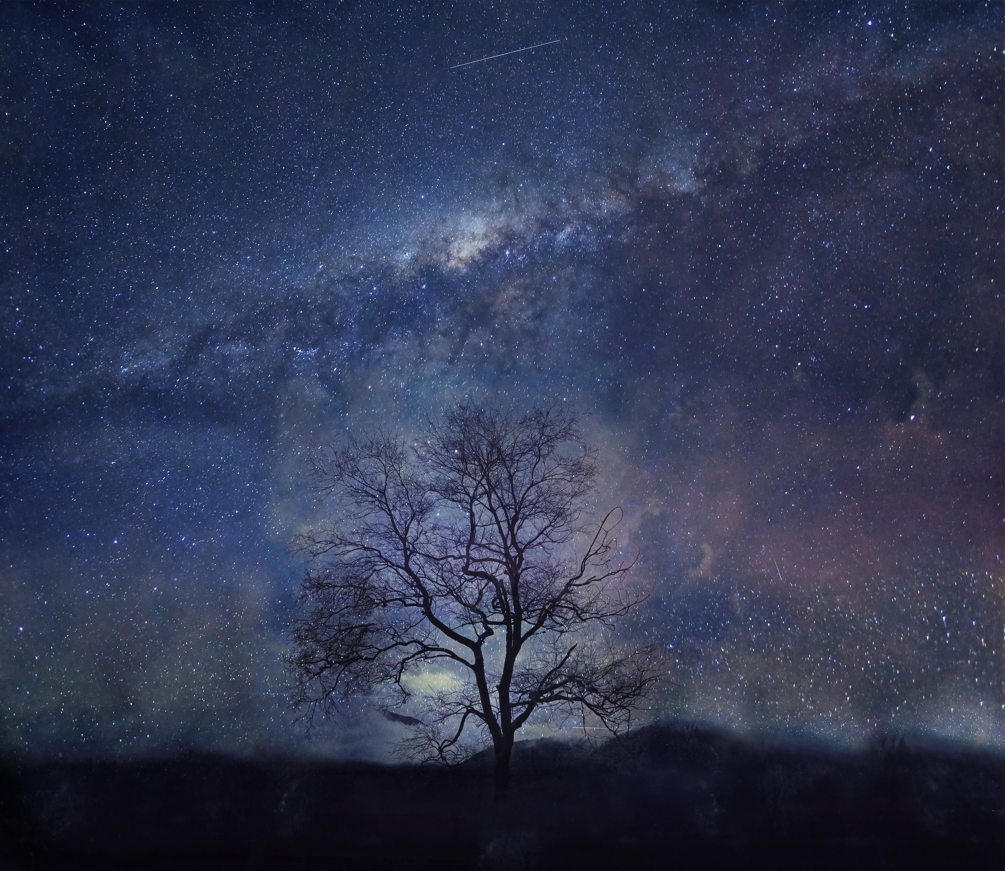 Free download wallpaper Nature, Stars, Night, Silhouette, Tree, Starry Sky, Earth, Milky Way on your PC desktop