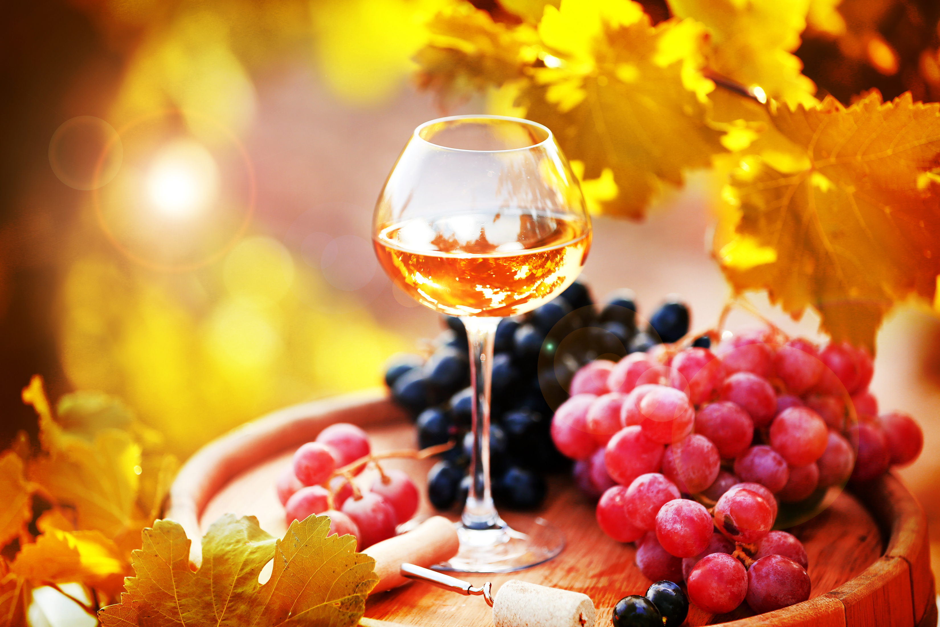 Download mobile wallpaper Food, Grapes, Fall, Glass, Bokeh, Wine for free.