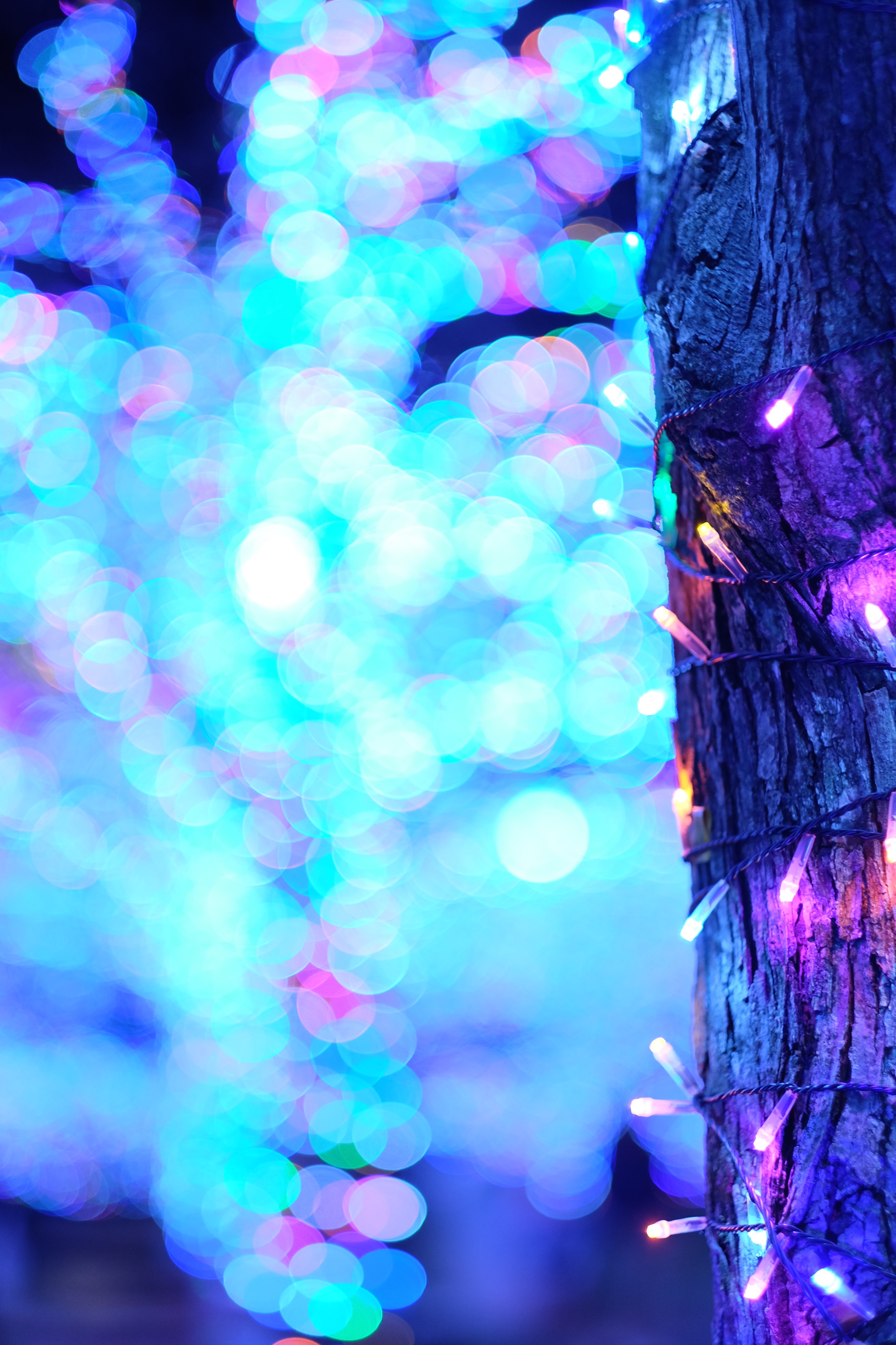 Download mobile wallpaper Miscellaneous, Wood, Lights, Tree, Boquet, Miscellanea, Smooth, Garland, Bokeh, Blur for free.