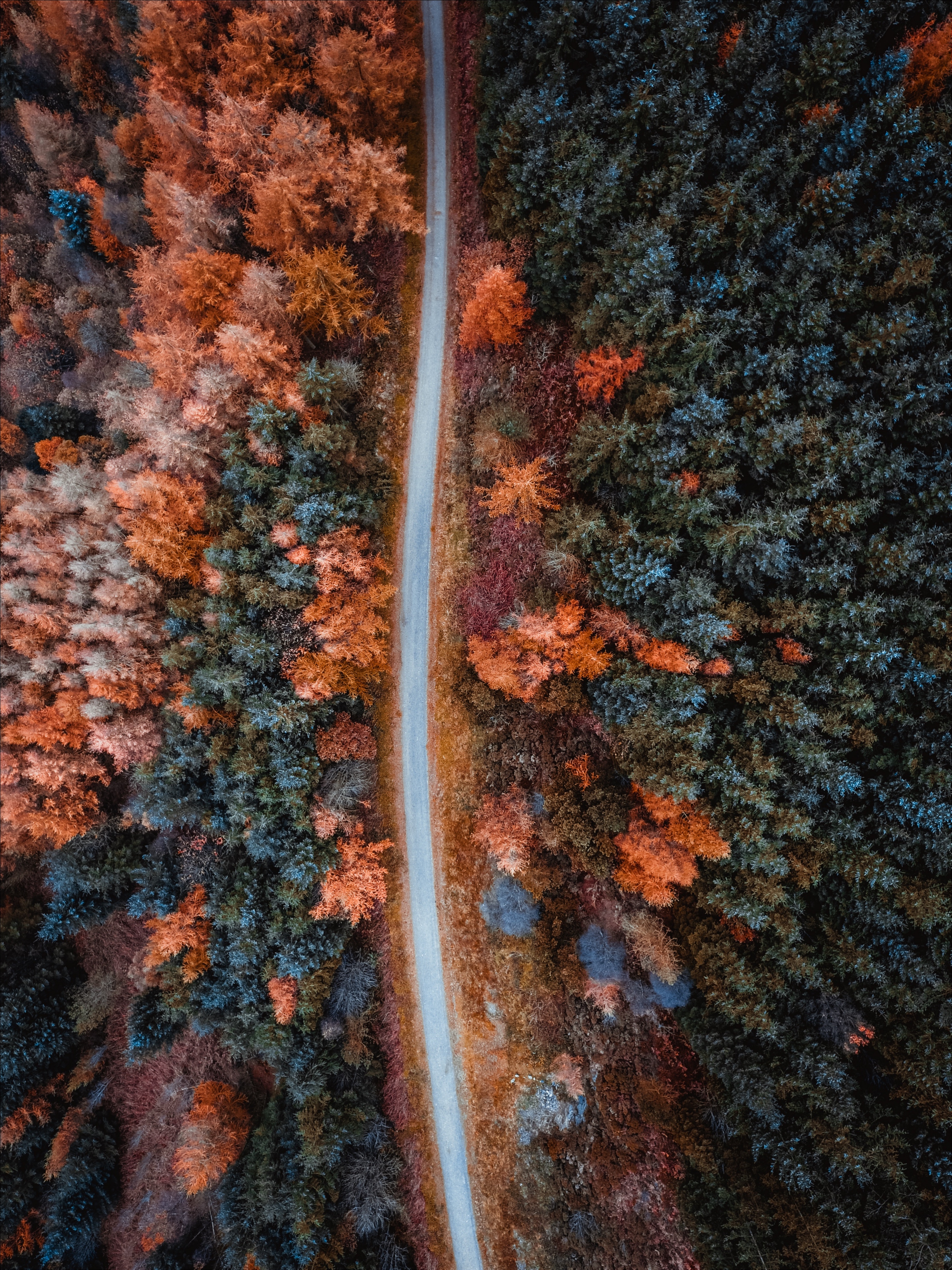 Free download wallpaper Trees, View From Above, Road, Forest, Nature, Autumn on your PC desktop