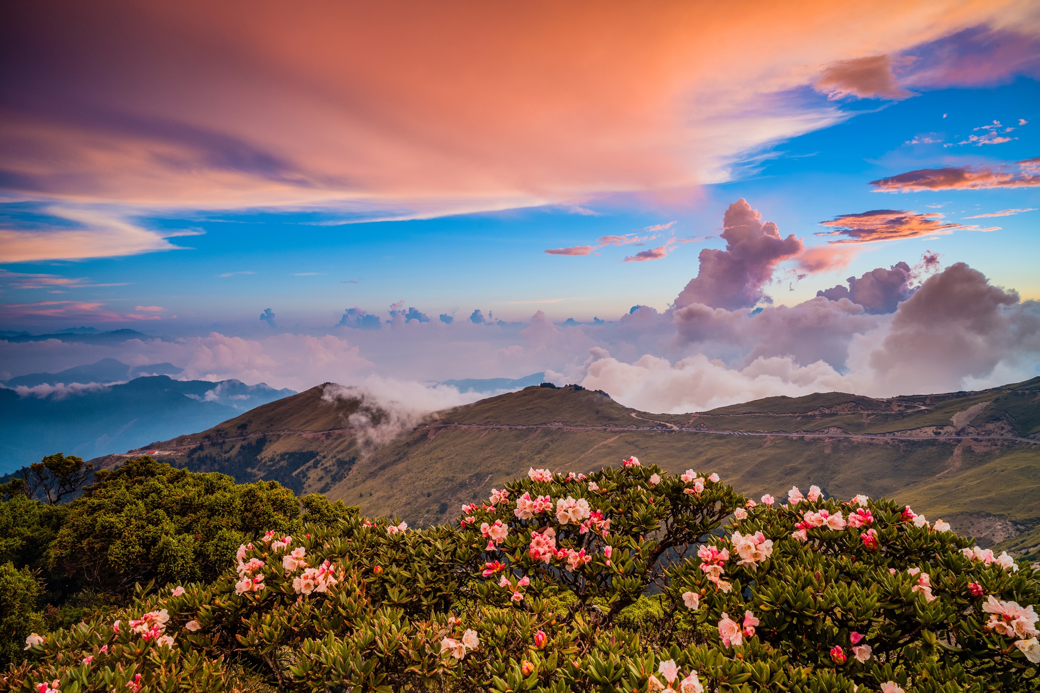 Free download wallpaper Landscape, Nature, Mountain, Flower, Earth, Cloud on your PC desktop