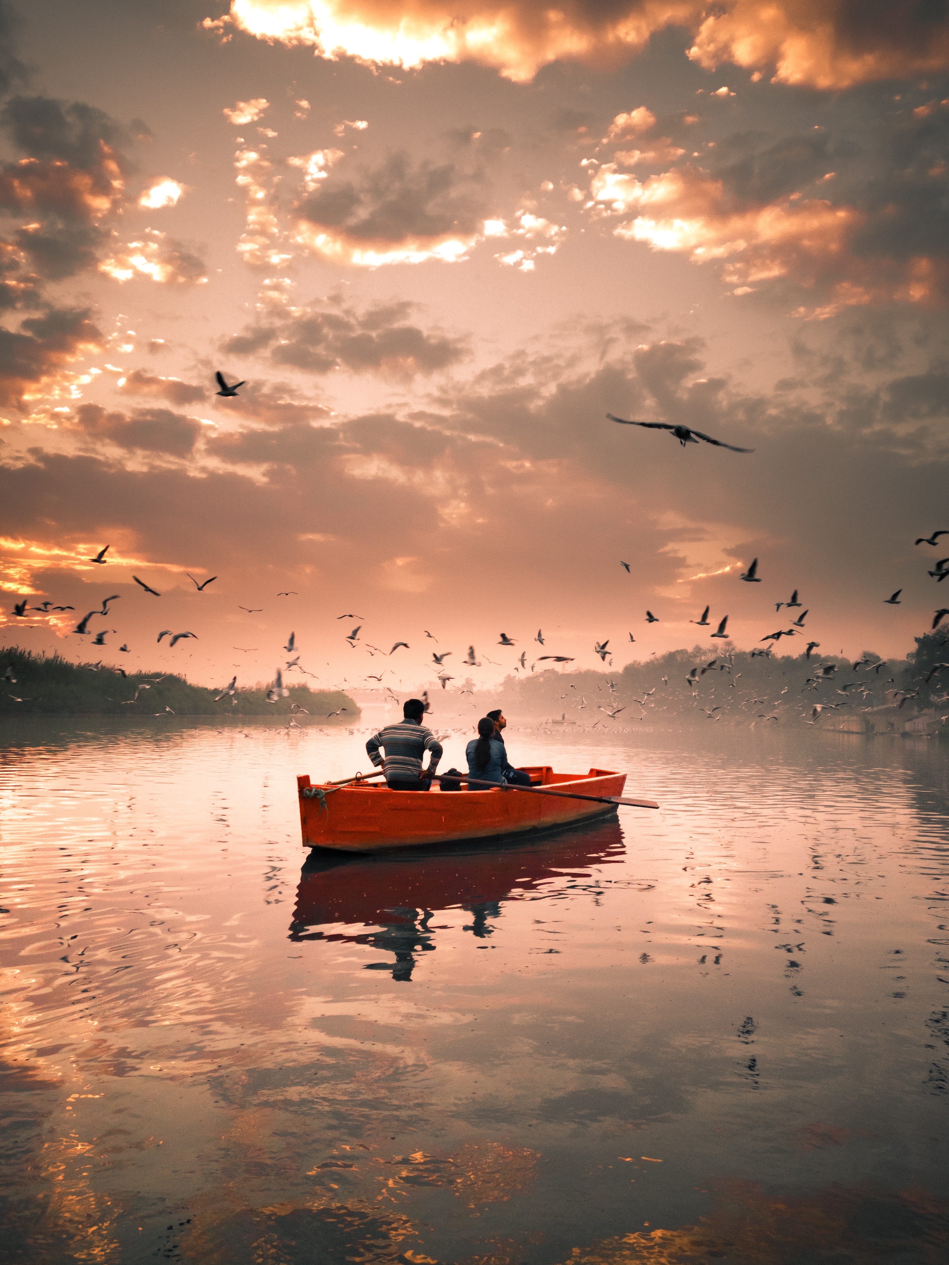 stroll, birds, nature, rivers, sky, seagulls, clouds, boat UHD