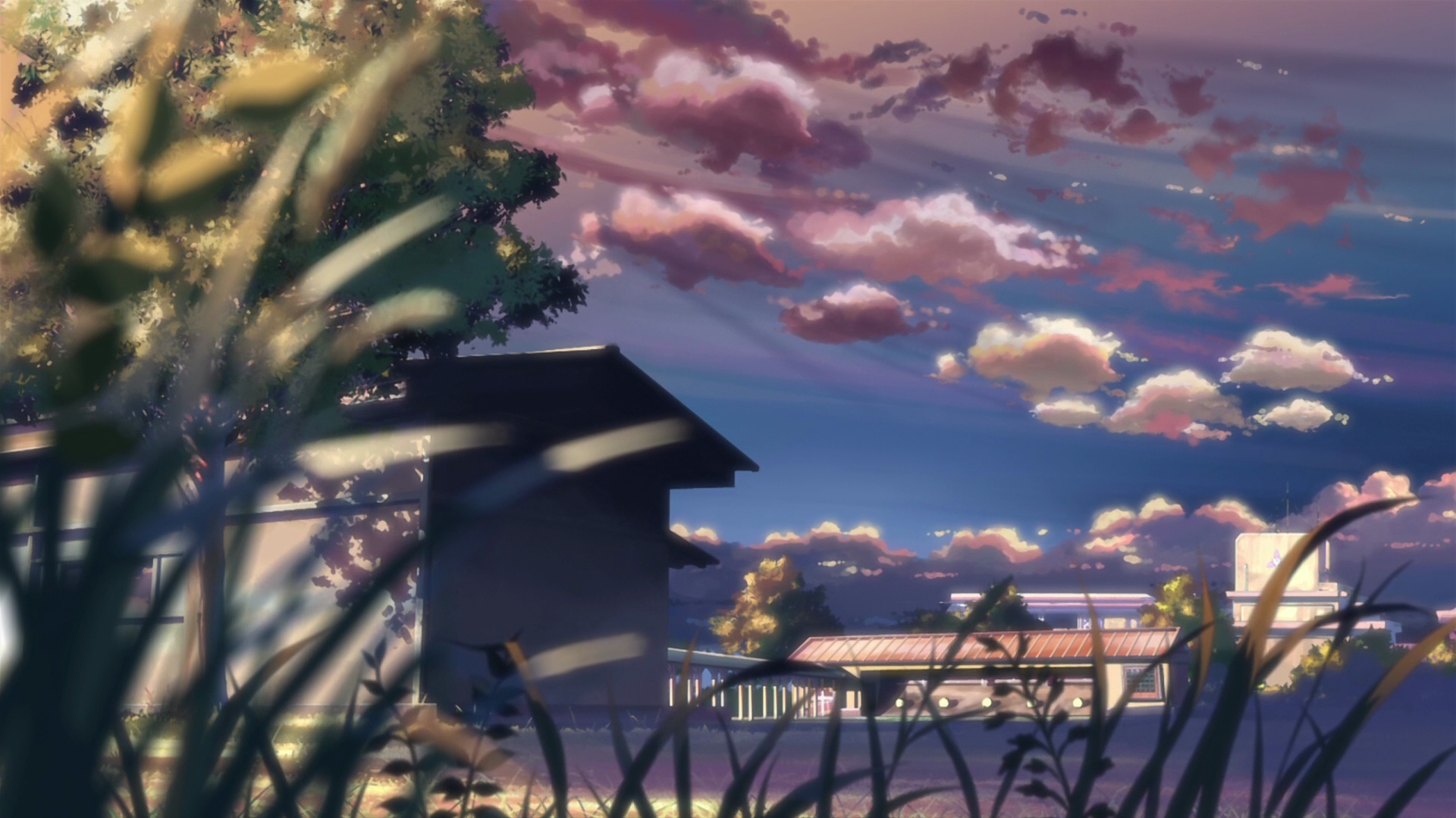  5 Centimeters Per Second Full HD Wallpaper