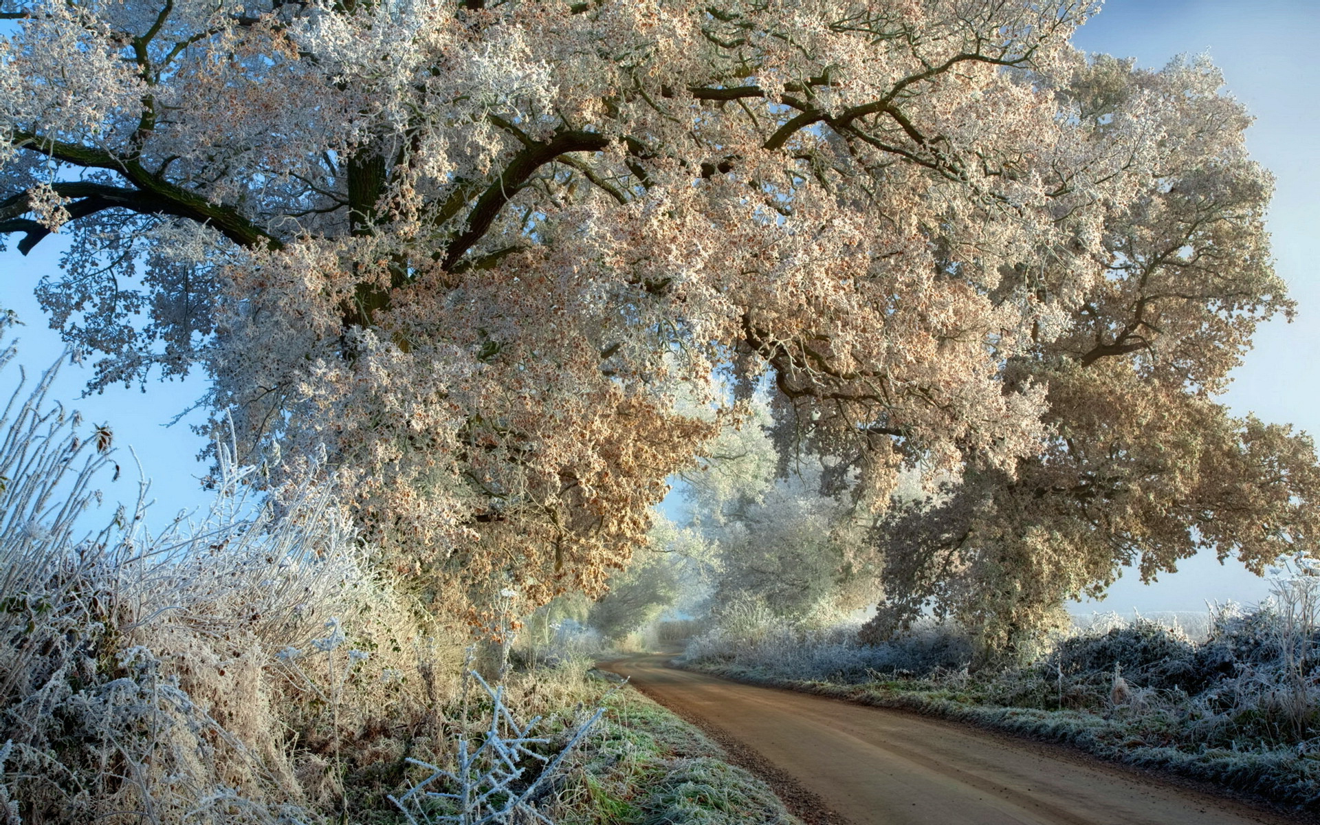 Descarga gratis la imagen Camino, Tierra/naturaleza en el escritorio de tu PC