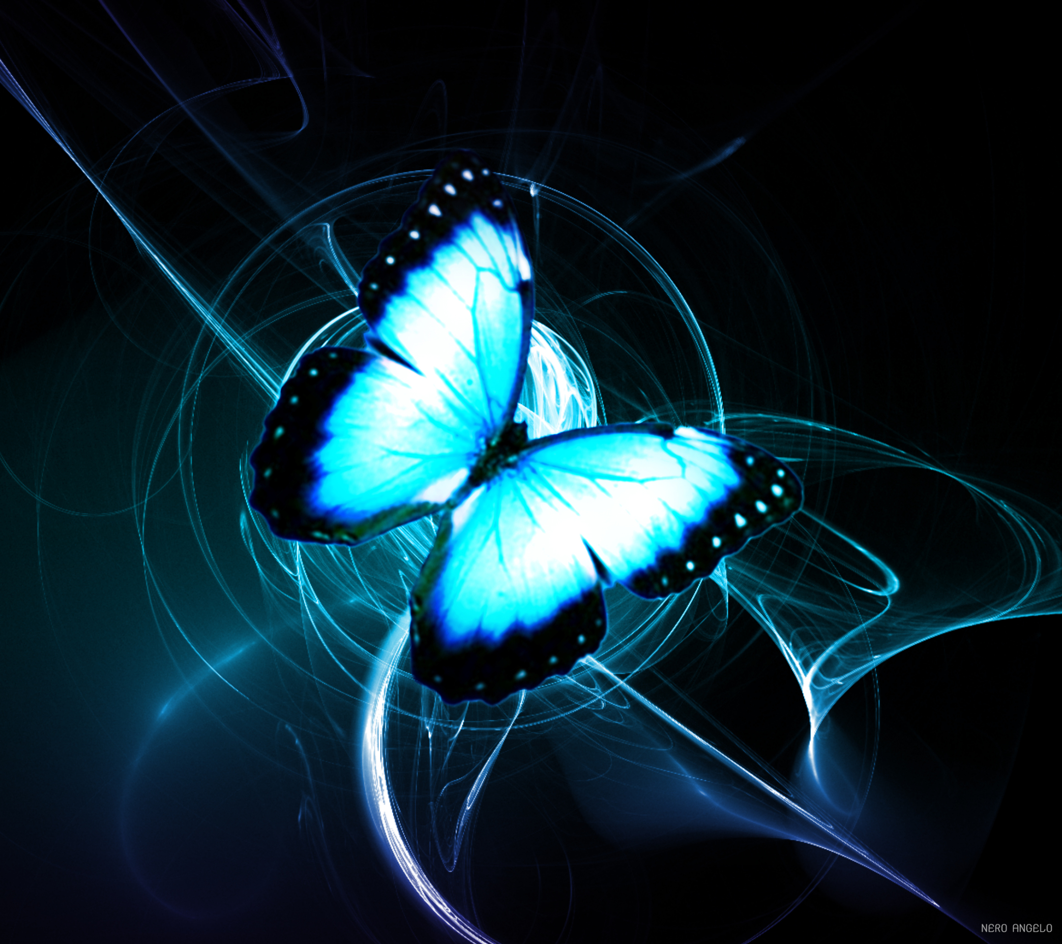 Download mobile wallpaper Butterfly, Animal for free.