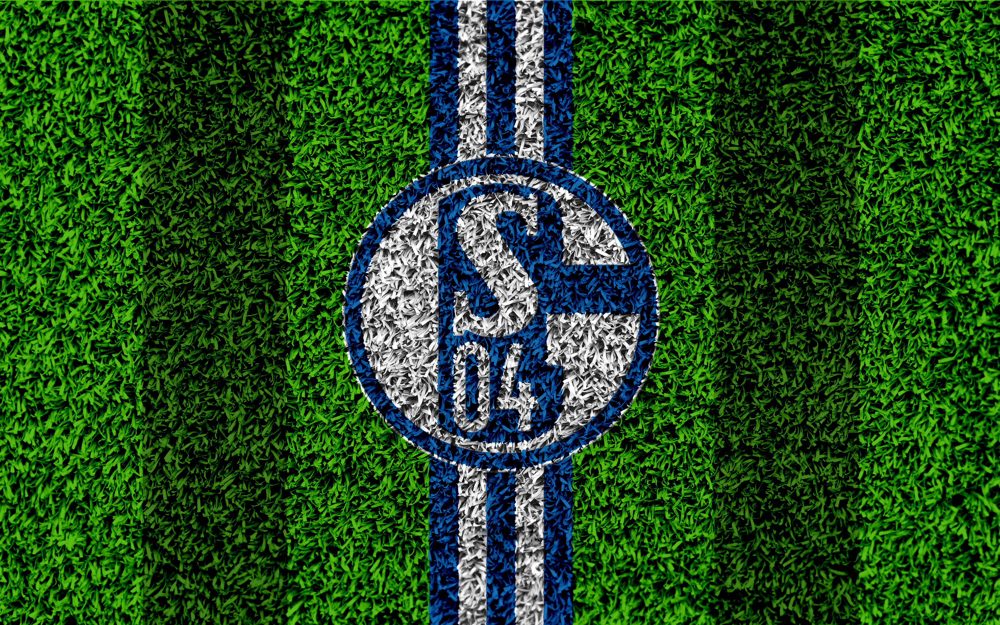 Laden Sie das Sport, Fußball, Logo, Fc Schalke 04-Bild kostenlos auf Ihren PC-Desktop herunter