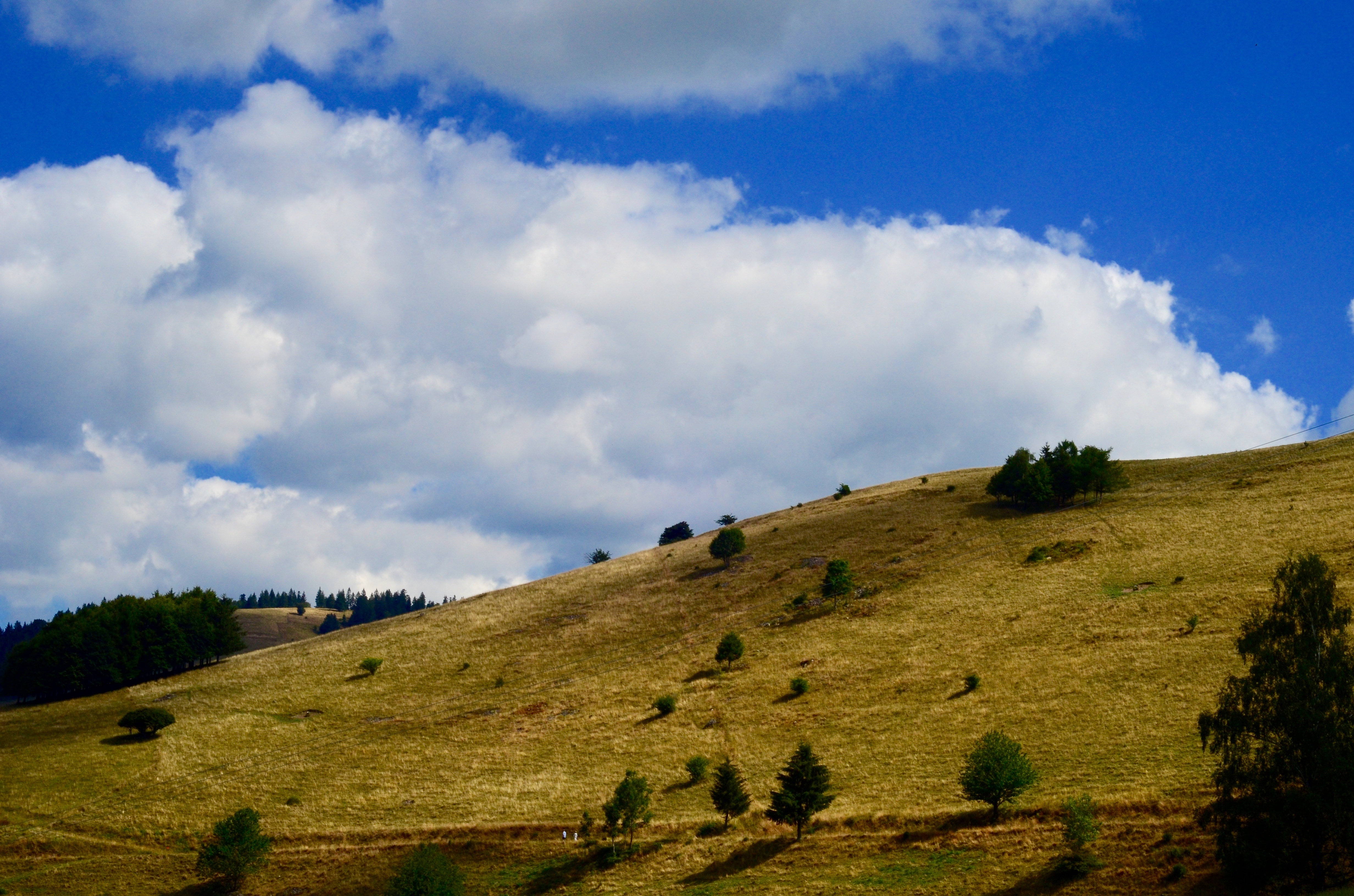 nature, grass, sky, hill, elevation for android
