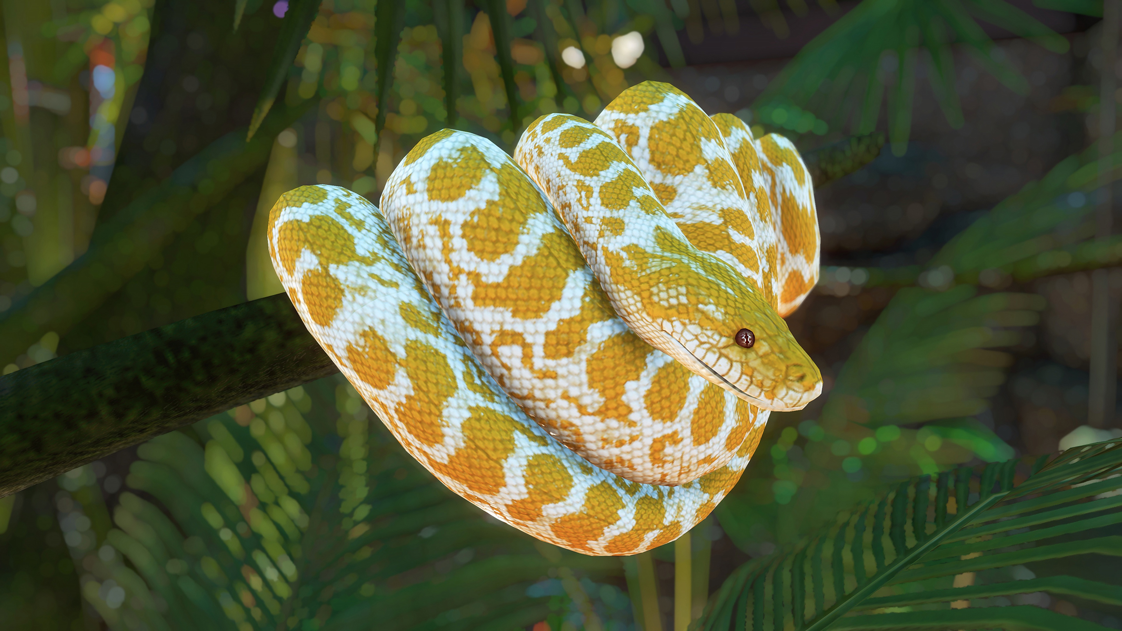 Descarga gratis la imagen Animales, Serpiente, Reptiles, Pitón en el escritorio de tu PC