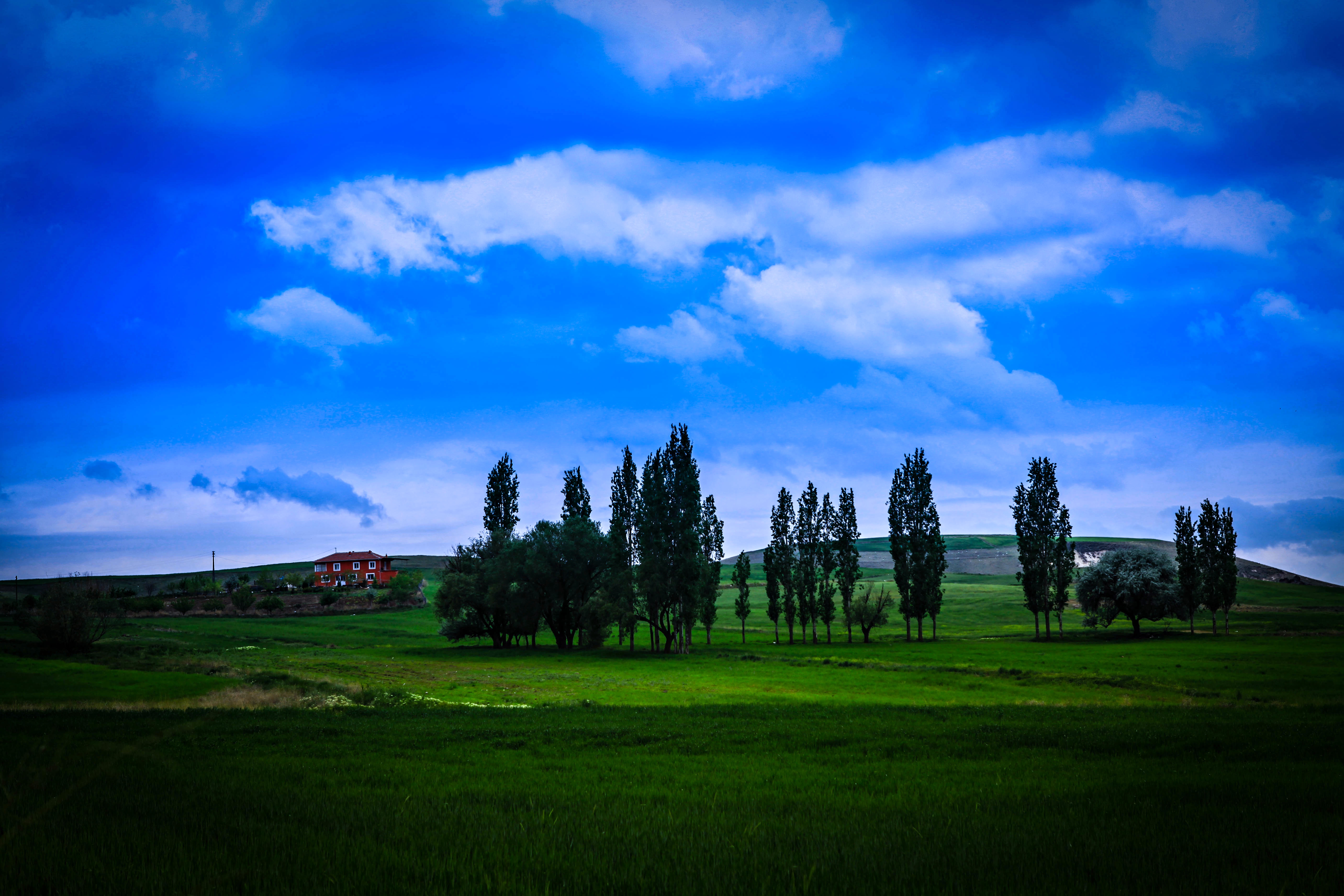 Free download wallpaper Landscape, Nature, Tree, Field, Photography, Countryside on your PC desktop