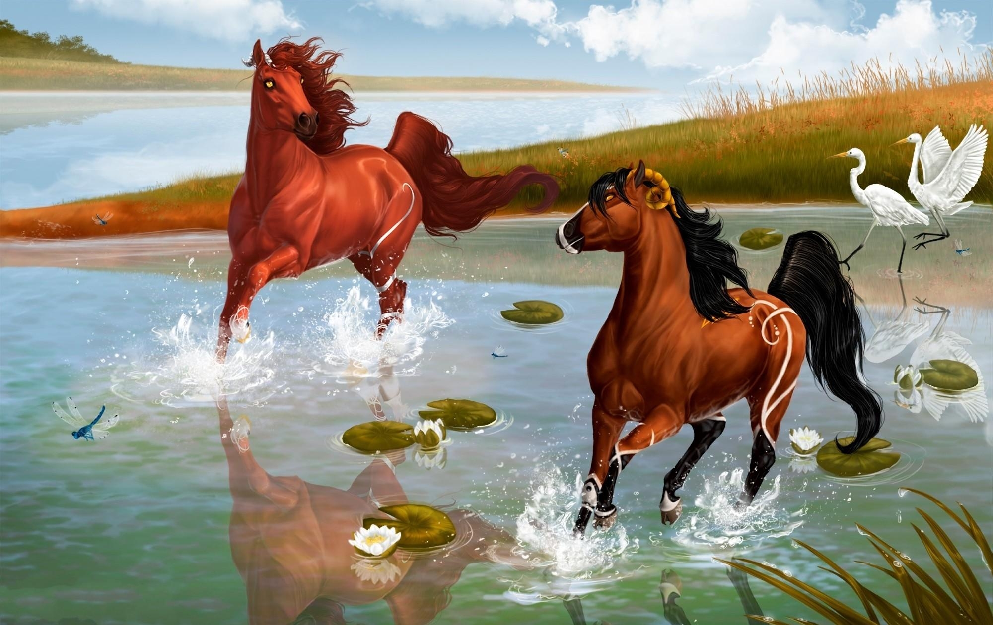 125433 descargar imagen caballos, agua, fantasía, garza, pareja, par, rociar, el juego, juego, estanque: fondos de pantalla y protectores de pantalla gratis