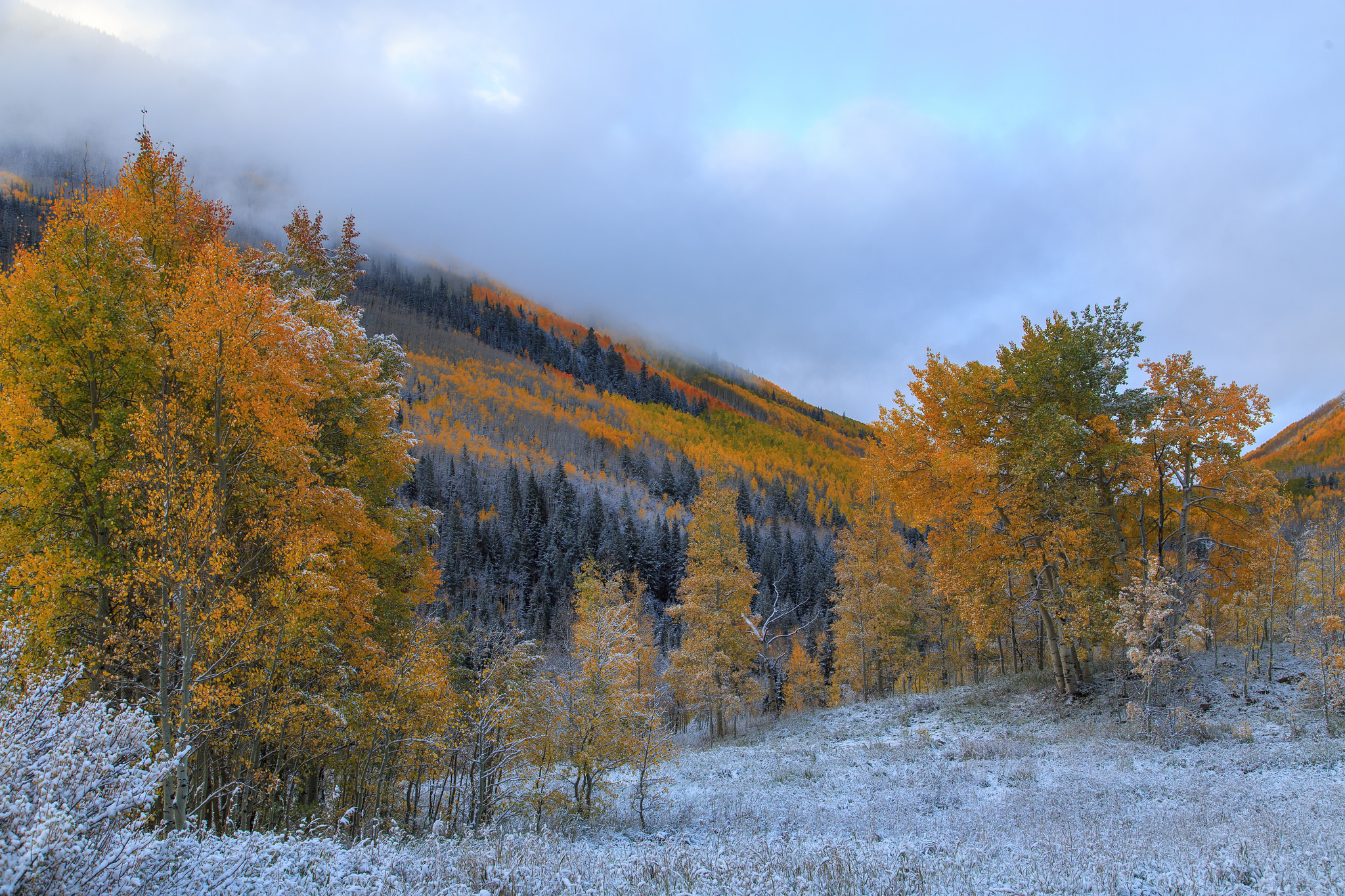 Free download wallpaper Trees, Mountains, Hoarfrost, Frost, Nature, Autumn on your PC desktop