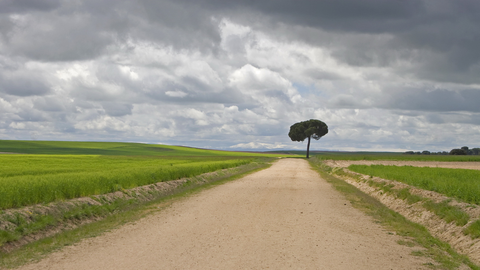 Téléchargez gratuitement l'image Arbre, Des Arbres, Terre/nature sur le bureau de votre PC