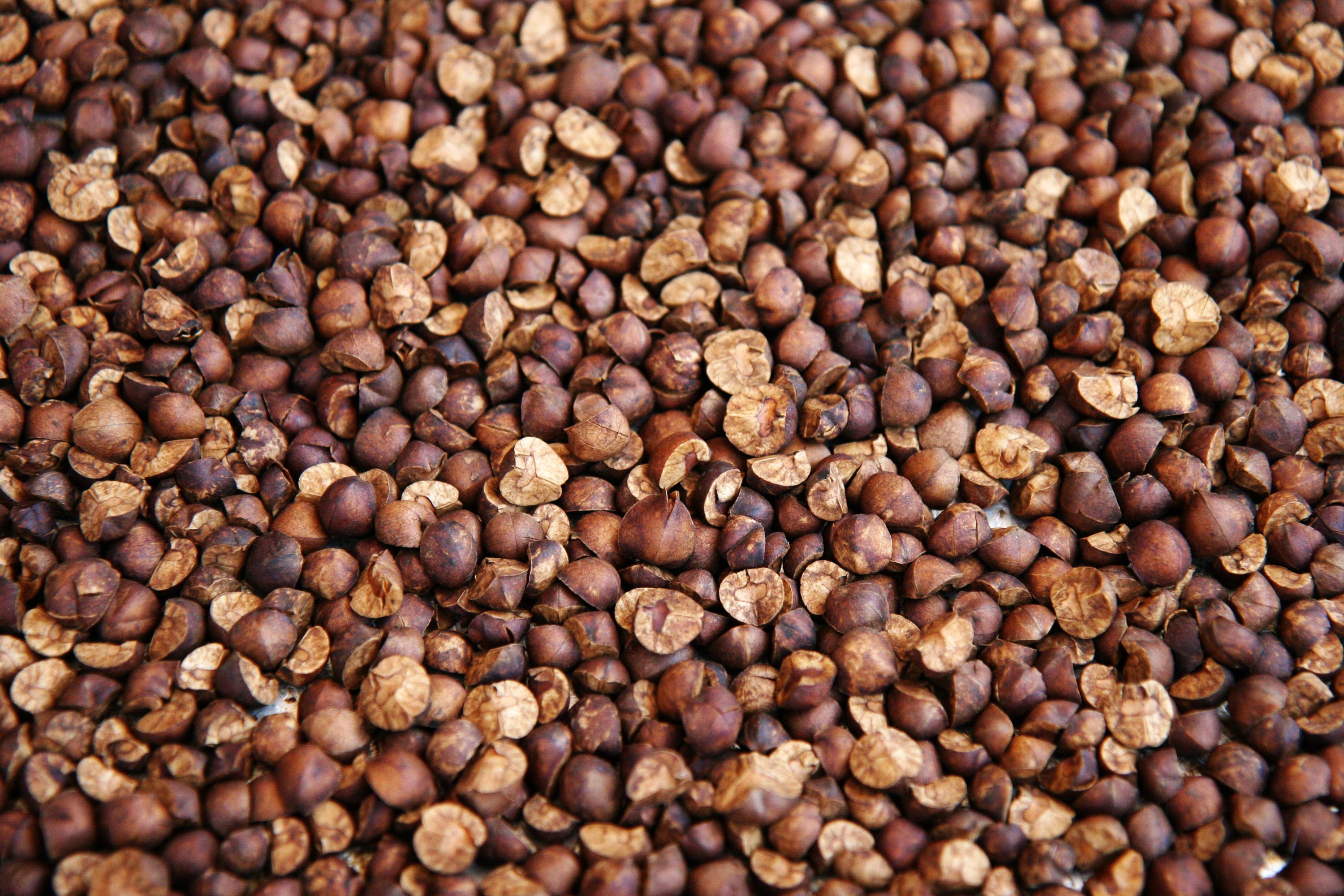 Download mobile wallpaper Buckwheat, Food, Texture, Background for free.