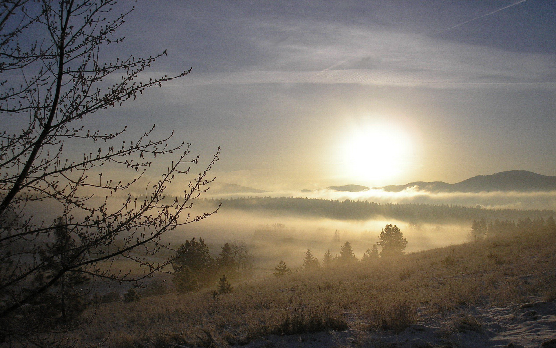 Baixe gratuitamente a imagem Terra/natureza, Neblina na área de trabalho do seu PC