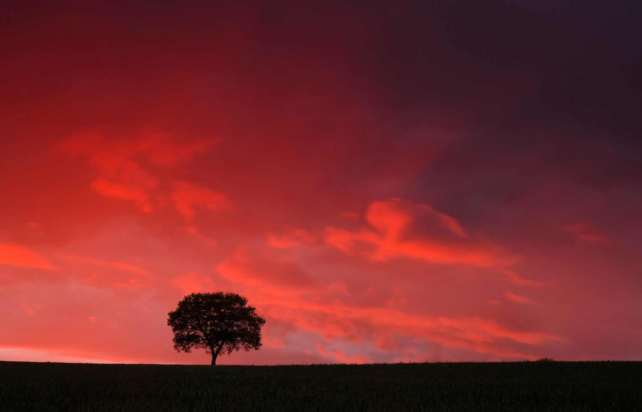 Free download wallpaper Nature, Trees, Sunset, Sky, Silhouette, Tree, Earth on your PC desktop