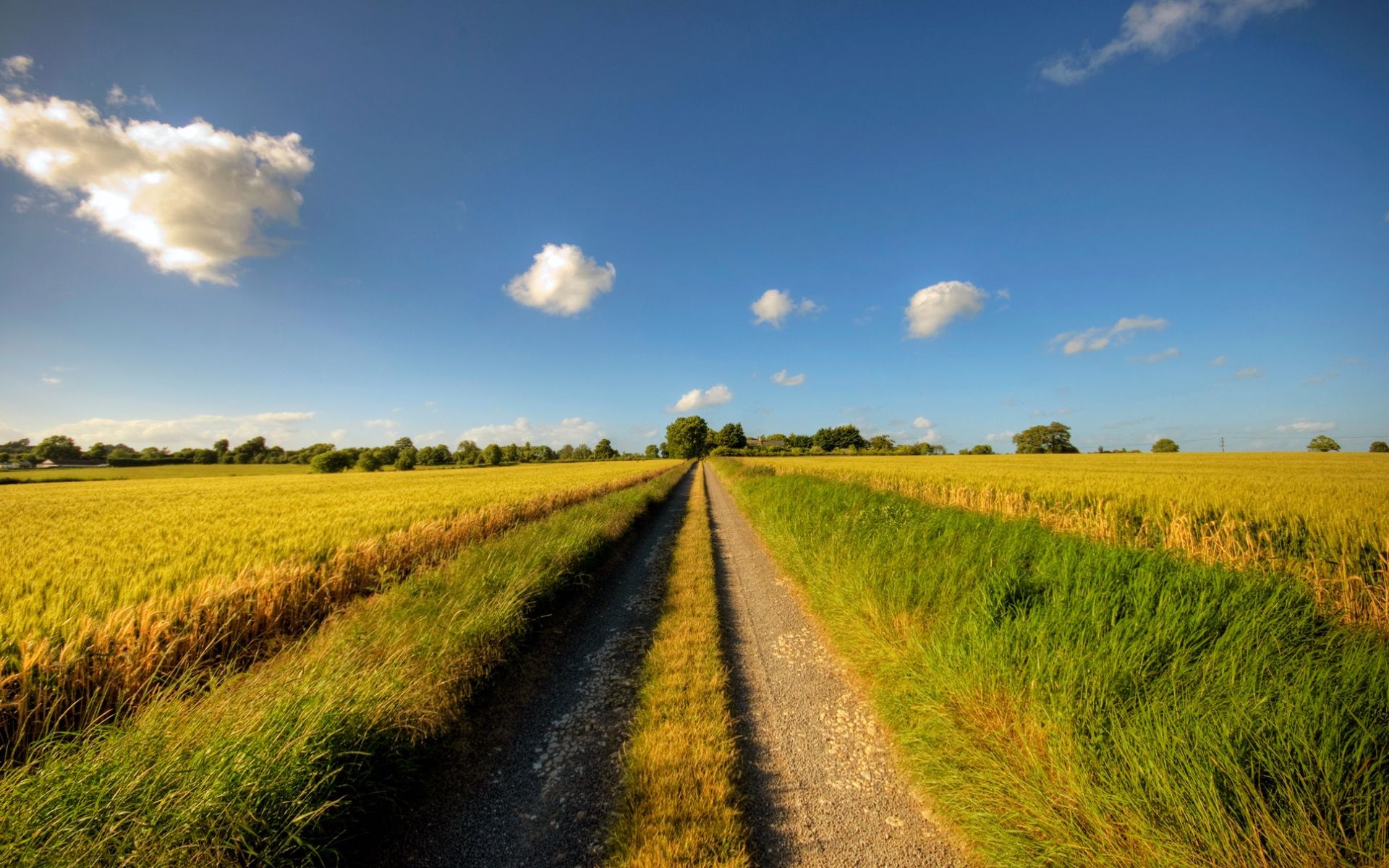 Descarga gratis la imagen Paisaje, Camino, Campo, Tierra/naturaleza en el escritorio de tu PC