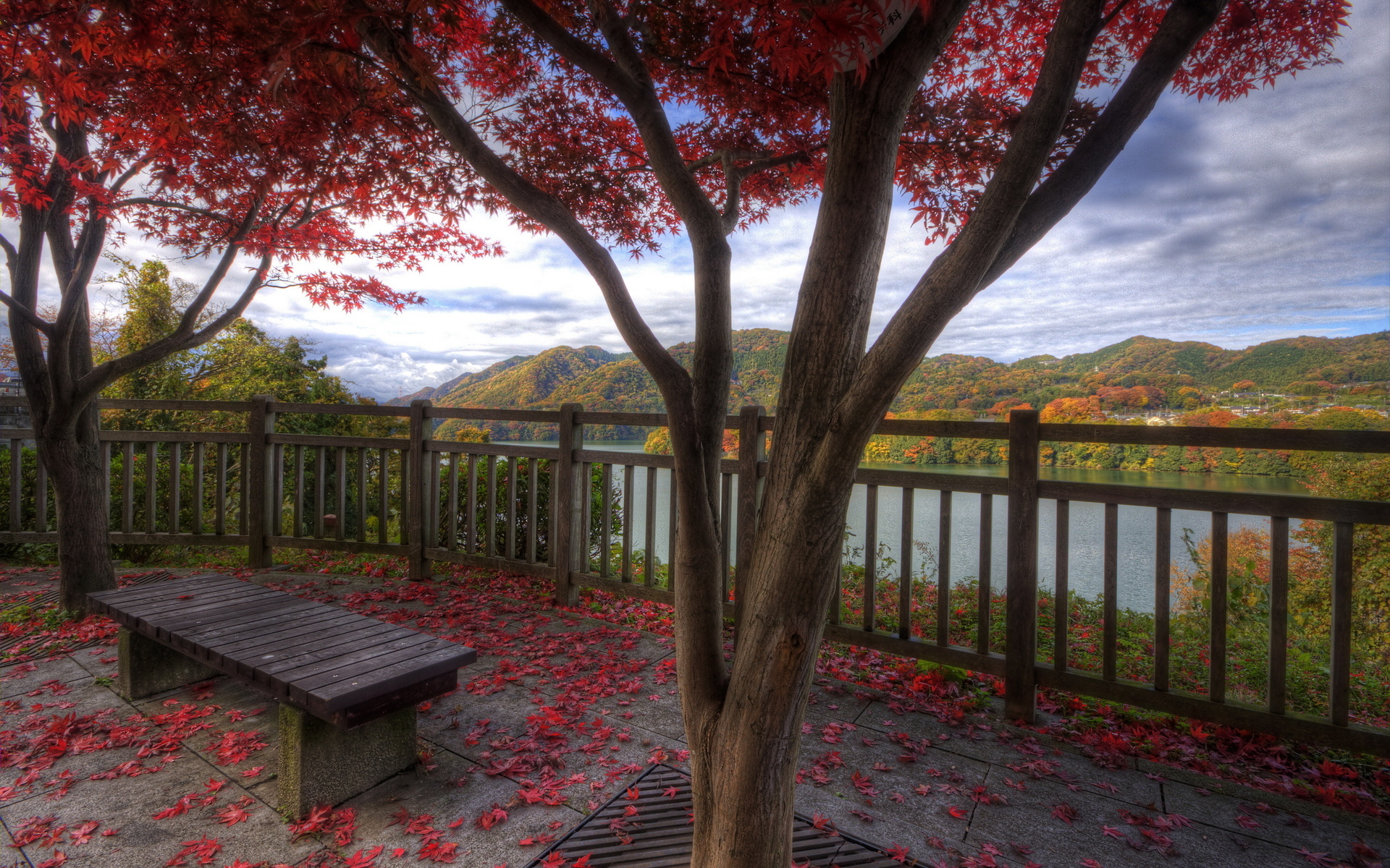 Download mobile wallpaper Nature, Leaf, Fall, Bench, River, Photography, Season for free.