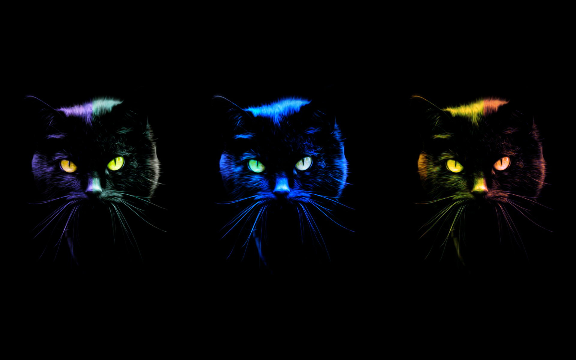 Free download wallpaper Cat, Colors, Animal, Colorful, Artistic, Eye on your PC desktop