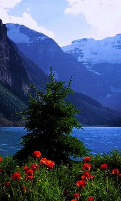 Download mobile wallpaper Lakes, Lake, Earth for free.