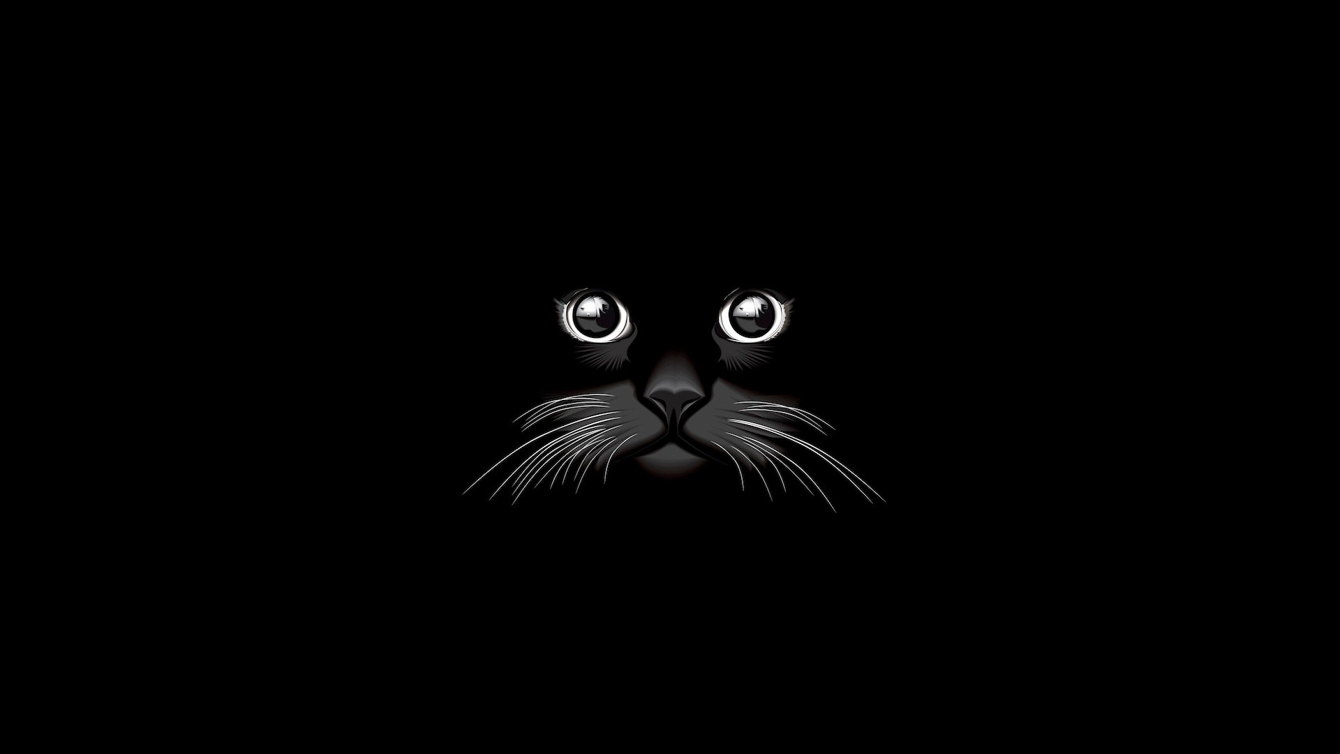 Free download wallpaper Cat, Animal, Artistic, Minimalist on your PC desktop