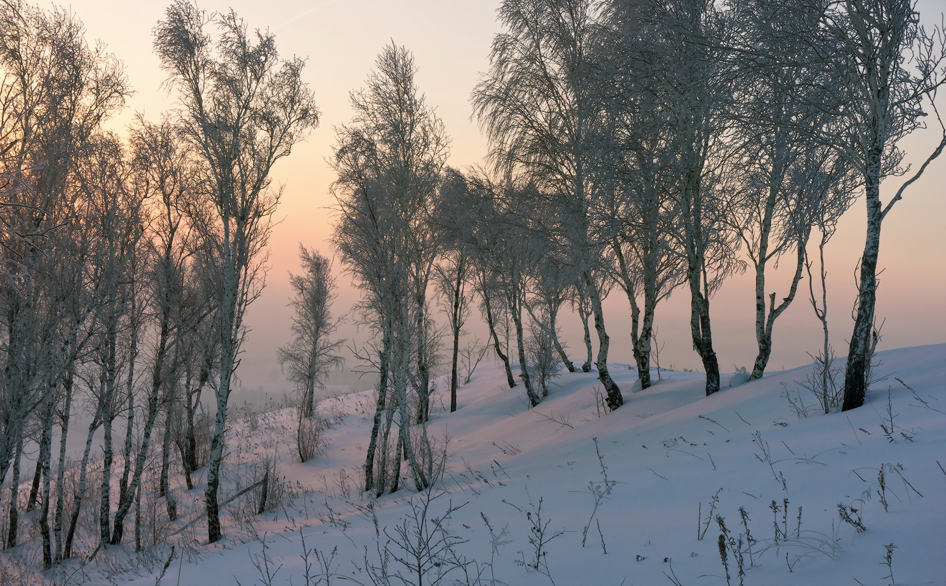 Free download wallpaper Winter, Snow, Forest, Tree, Earth on your PC desktop