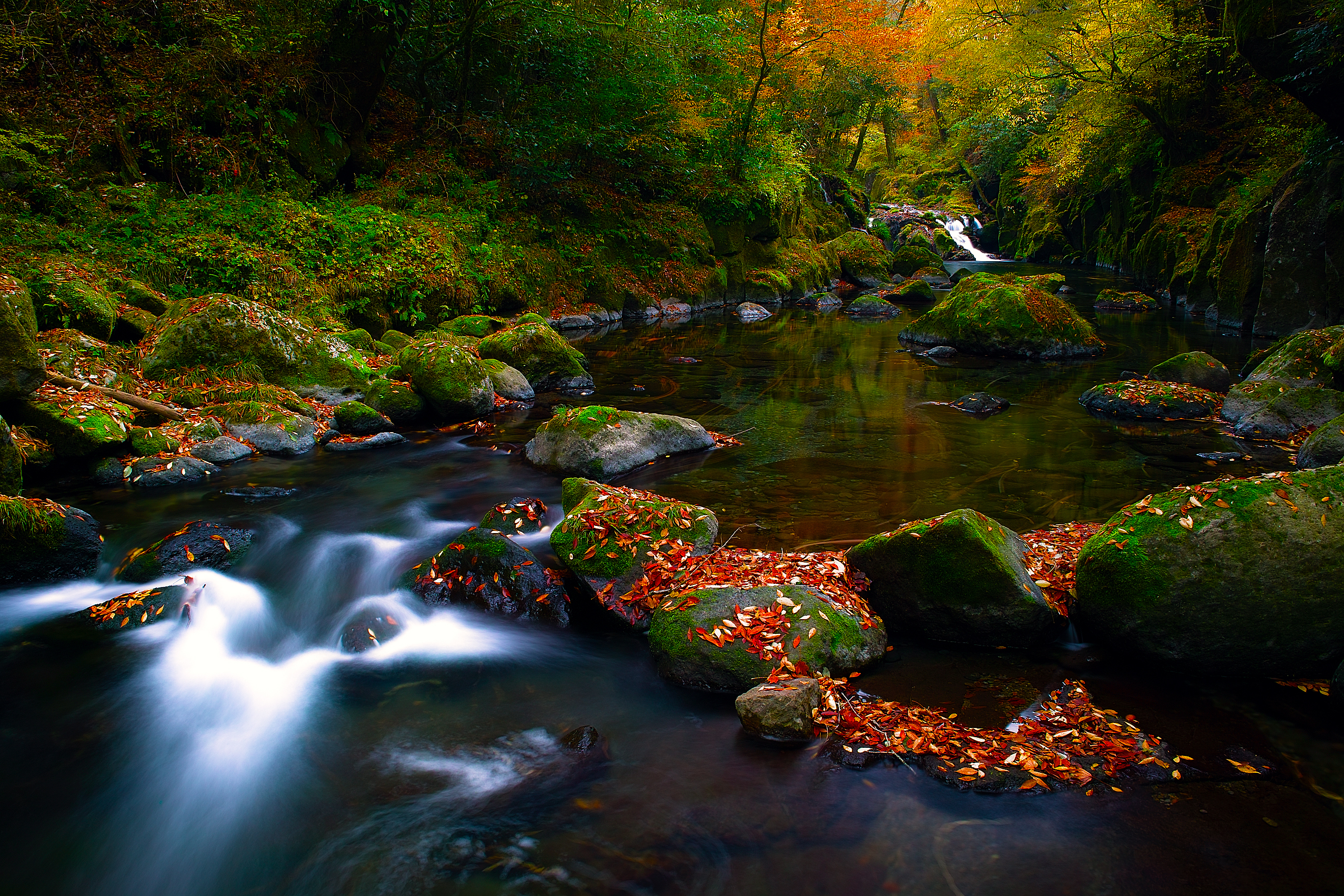 PCデスクトップに川, 秋, 葉, 森, 地球, ストリーム画像を無料でダウンロード