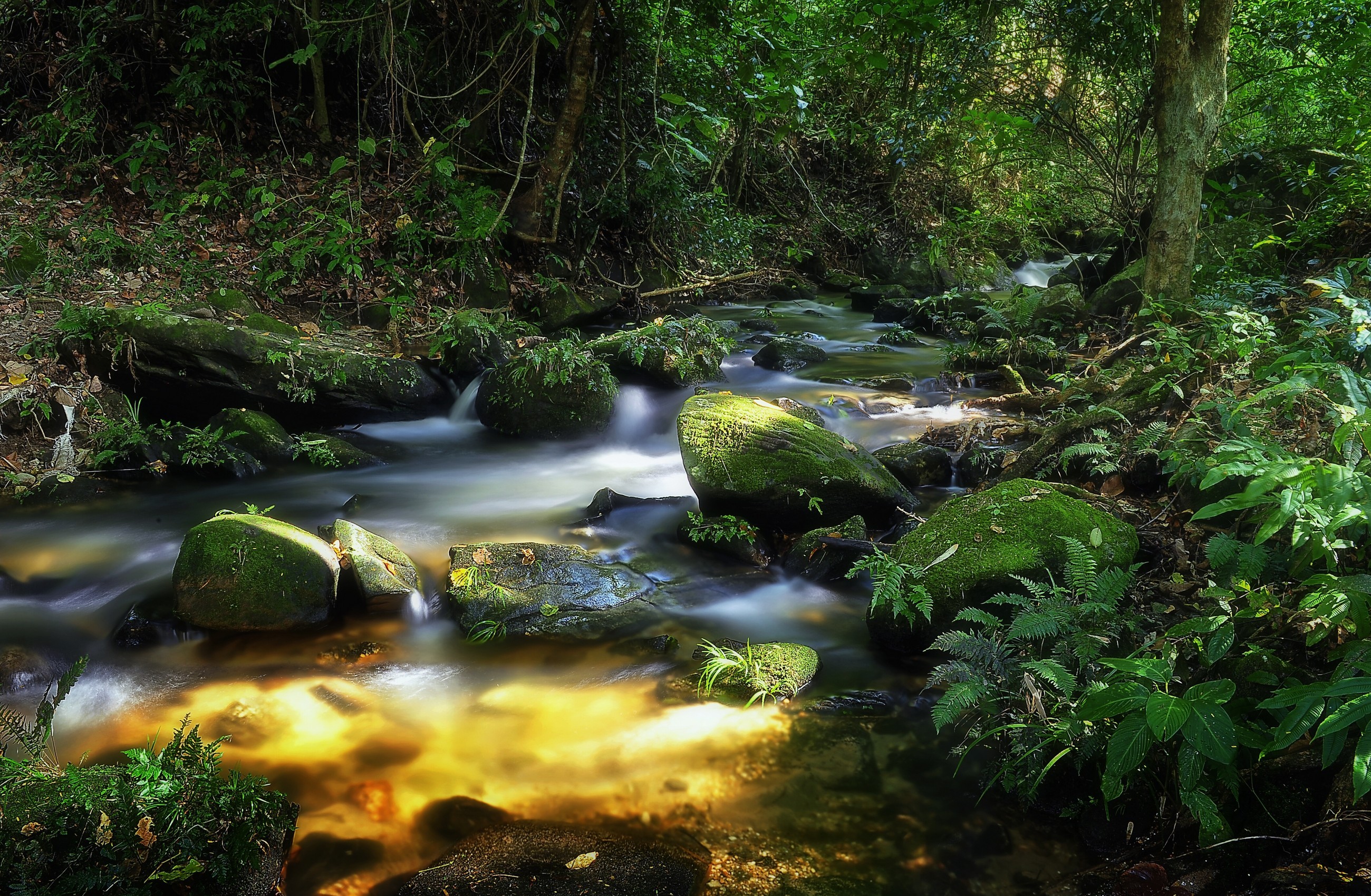 Download mobile wallpaper Forest, Earth, Stream, Thailand for free.