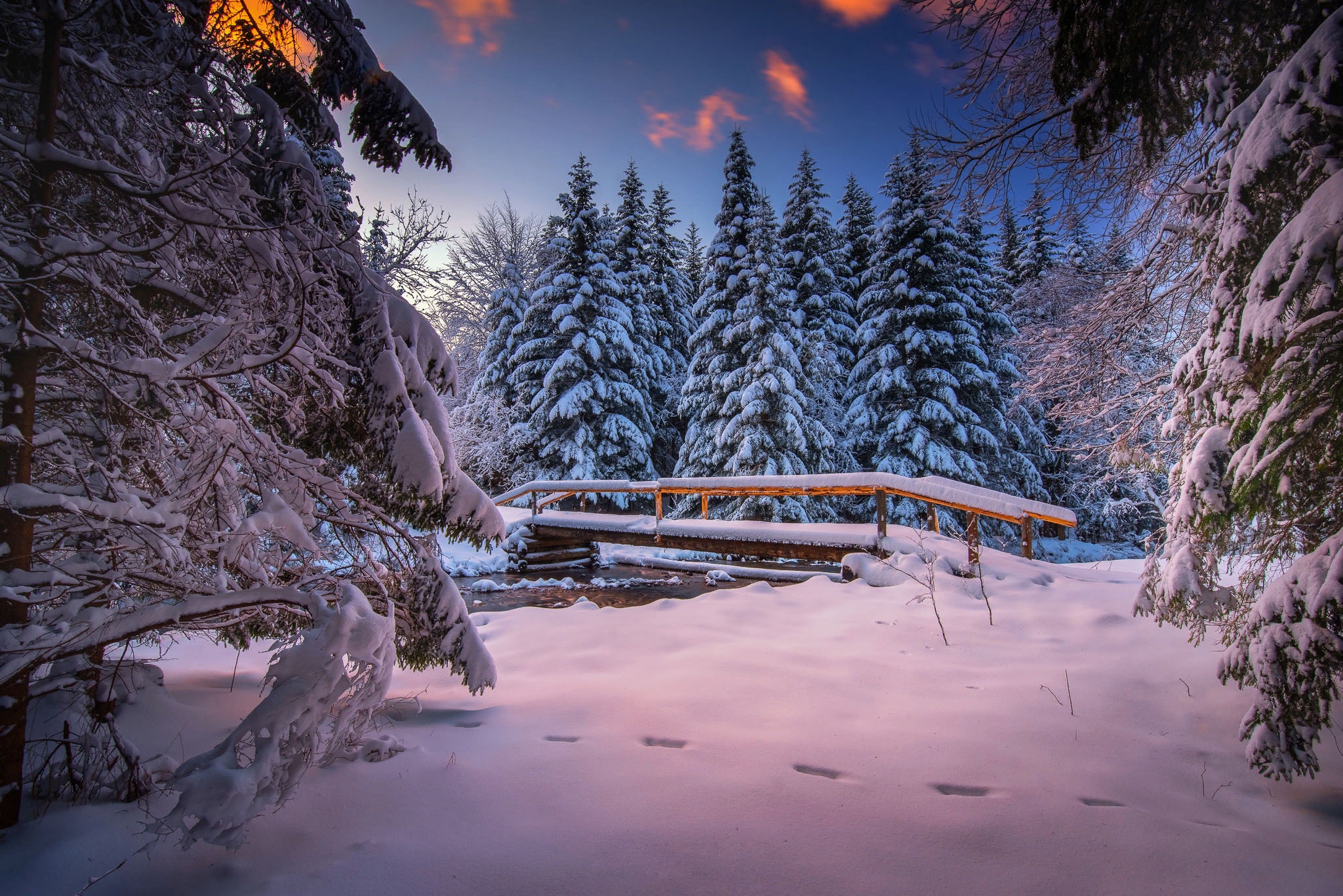 PCデスクトップに冬, 橋, 雪, モミの木, ブリッジ, マンメイド画像を無料でダウンロード
