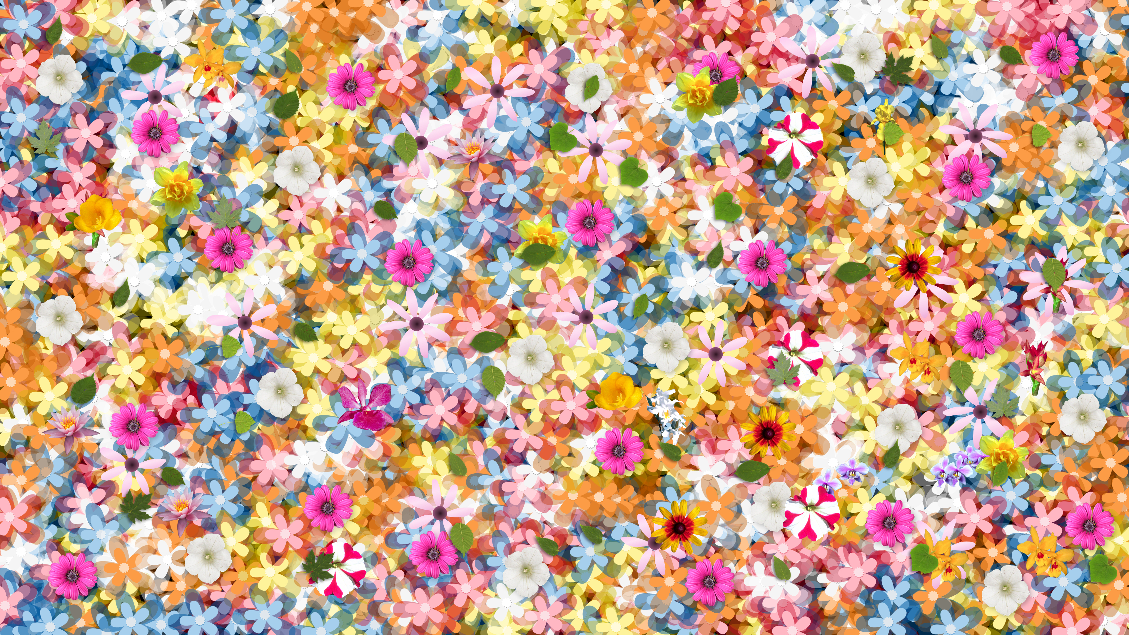 Descarga gratis la imagen Flores, Flor, Artístico, Floral en el escritorio de tu PC