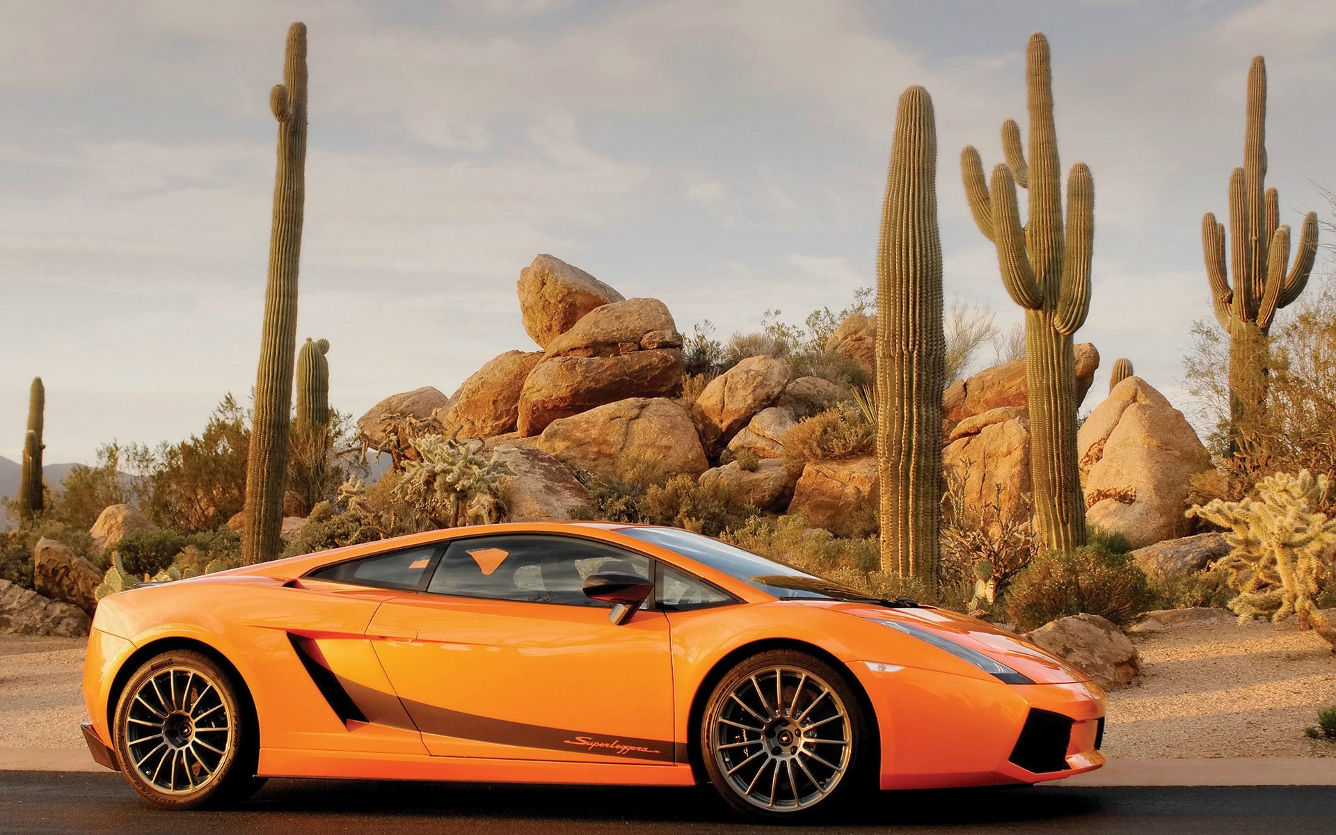 Download mobile wallpaper Lamborghini, Car, Cactus, Vehicles, Lamborghini Gallardo Superleggera, Orange Car for free.