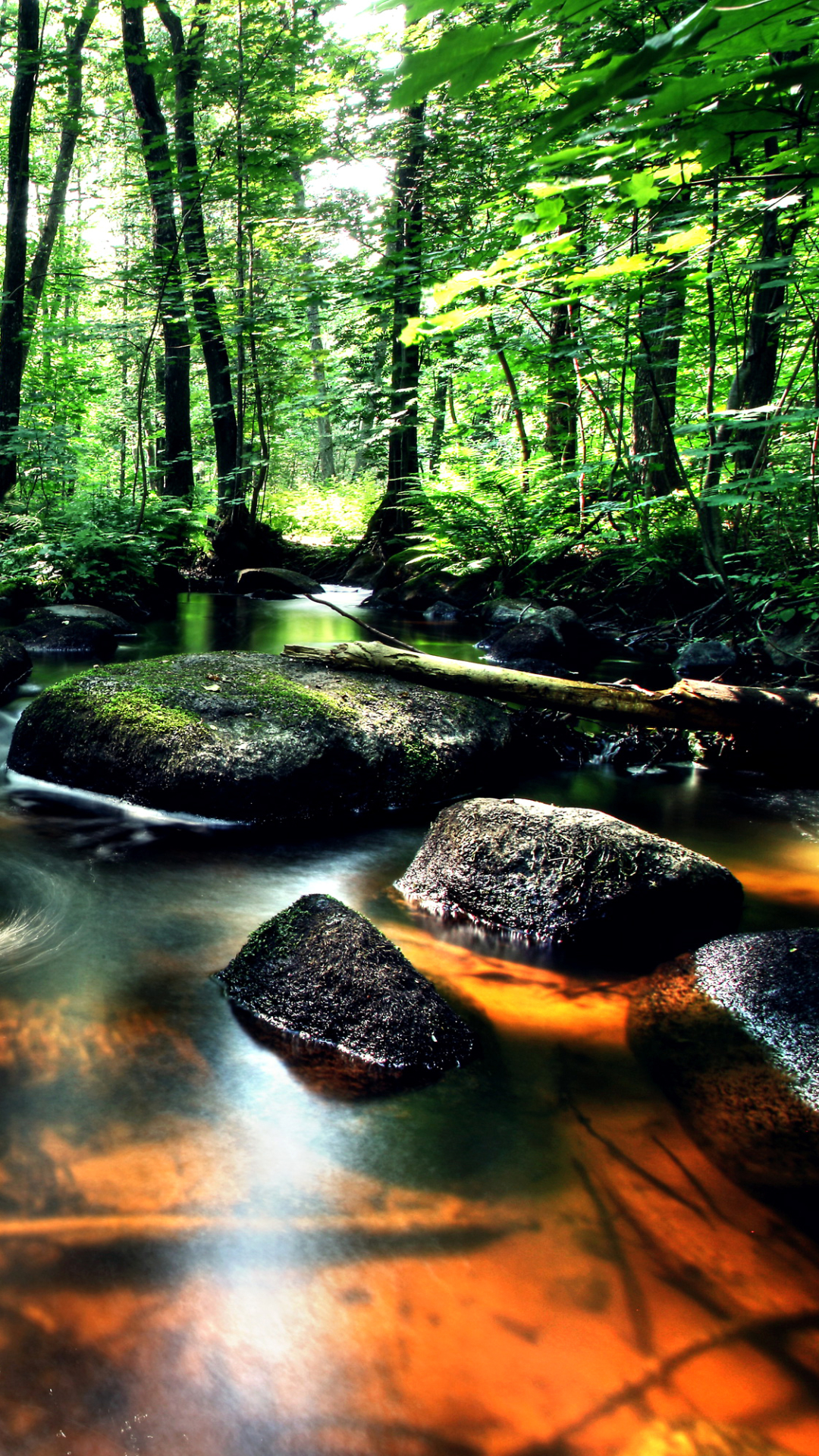 Download mobile wallpaper Water, Forest, Earth, Stream for free.