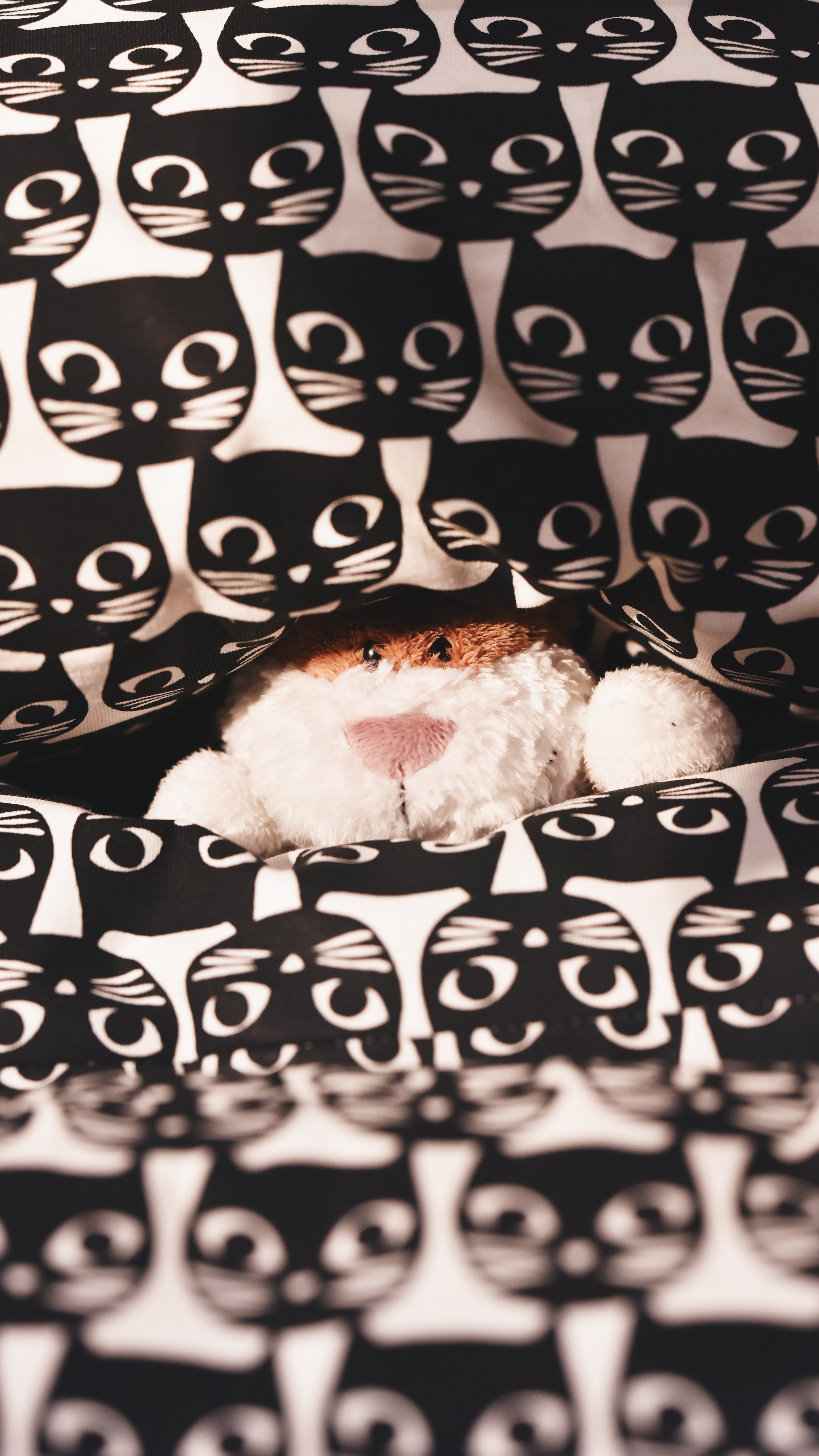 cats, miscellanea, miscellaneous, pattern, plush, toy, peek out, look out