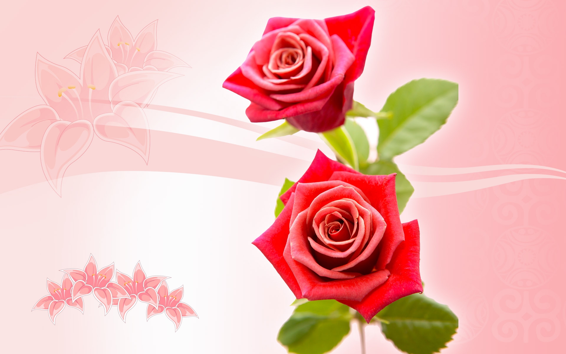 Скачать обои бесплатно Цветы, Фон, Розы, Растения картинка на рабочий стол ПК