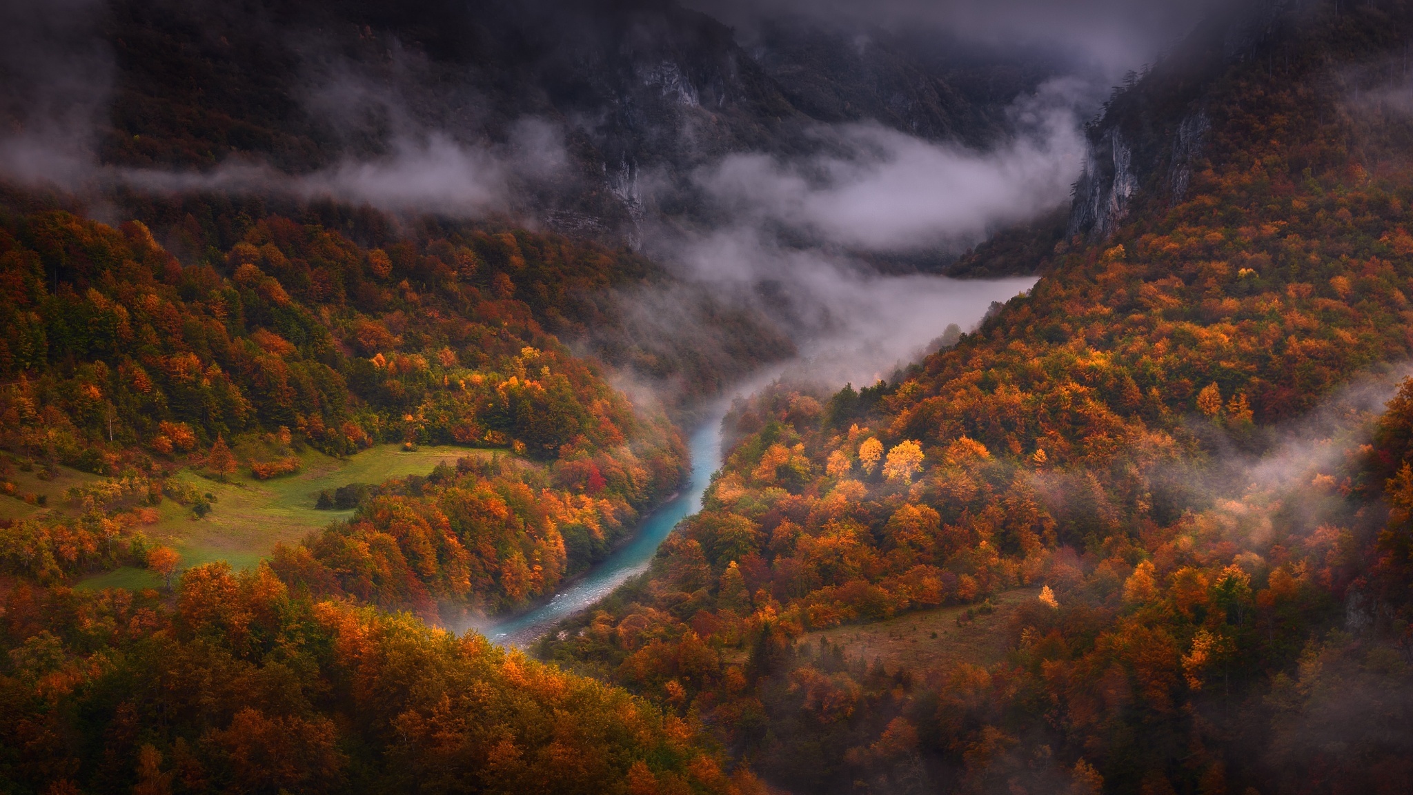 Скачать картинку Пейзаж, Природа, Река, Осень, Туман, Антенна, Земля/природа в телефон бесплатно.