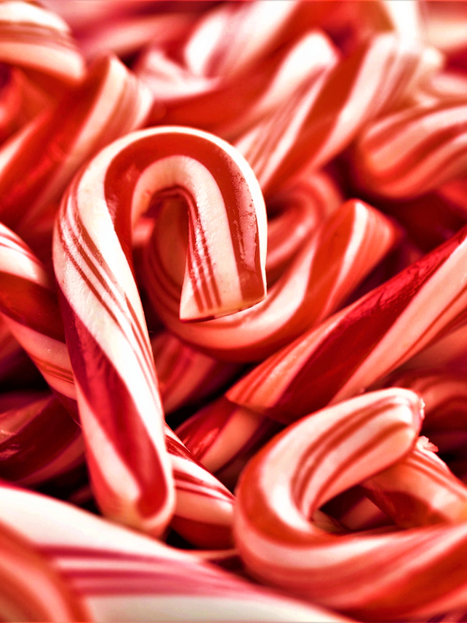 Download mobile wallpaper Food, Christmas, Holiday, Candy Cane for free.