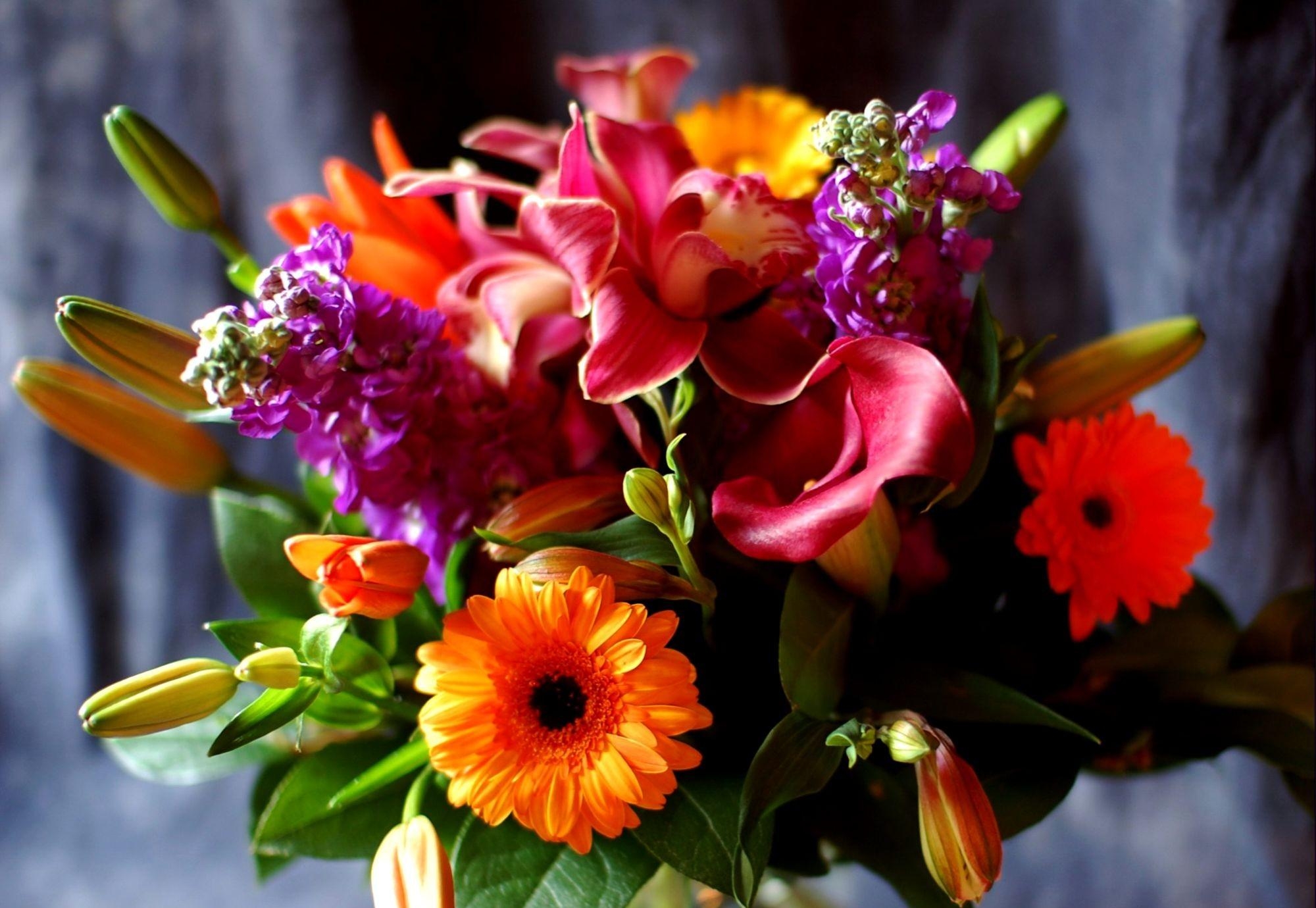 flowers, lilies, gerberas, registration, typography, close up, bouquet, calla, callas